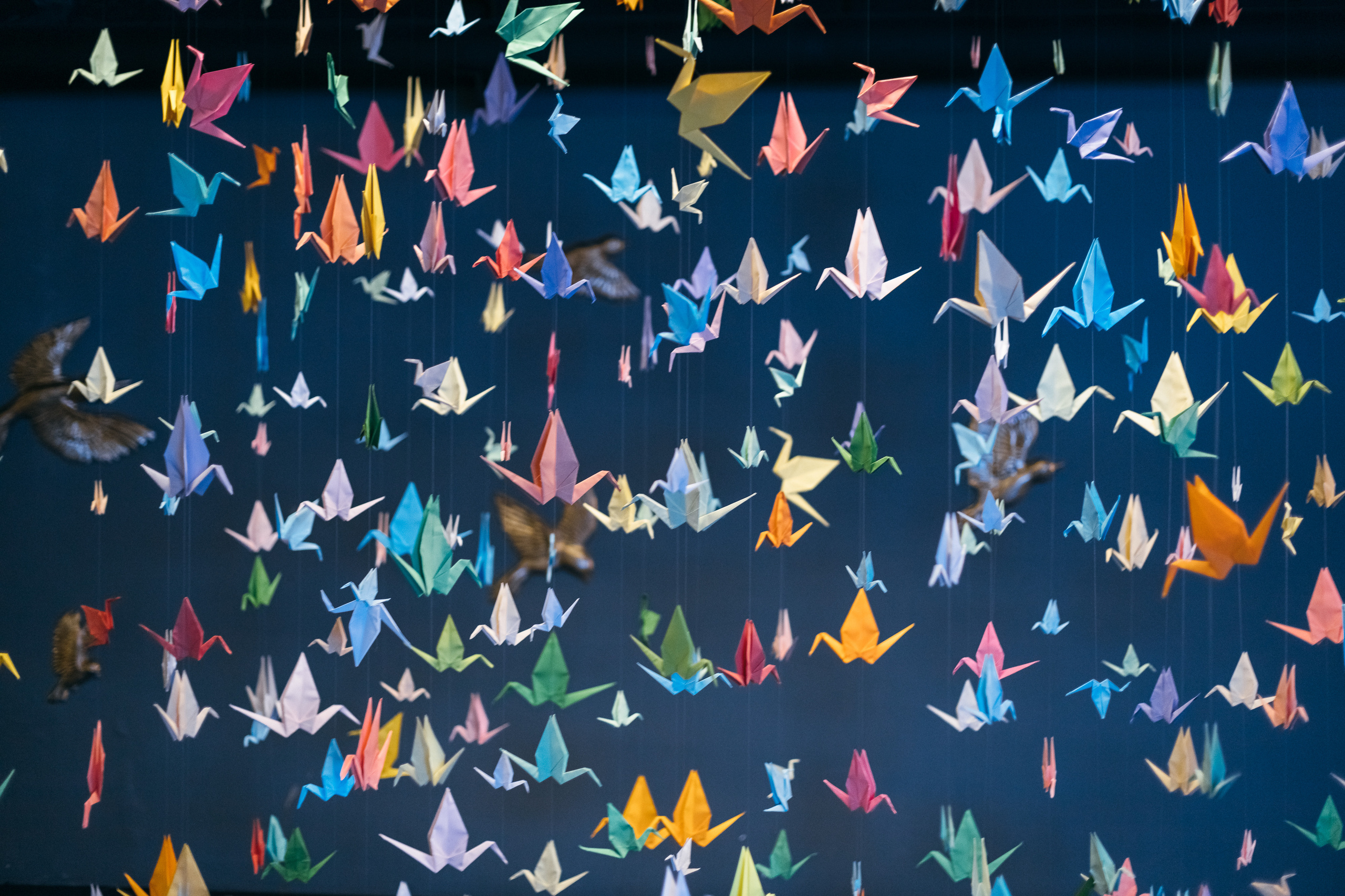 Корпоратив Siemens. Свадебный и портретный фотограф в Королёве Сергей Чихарев