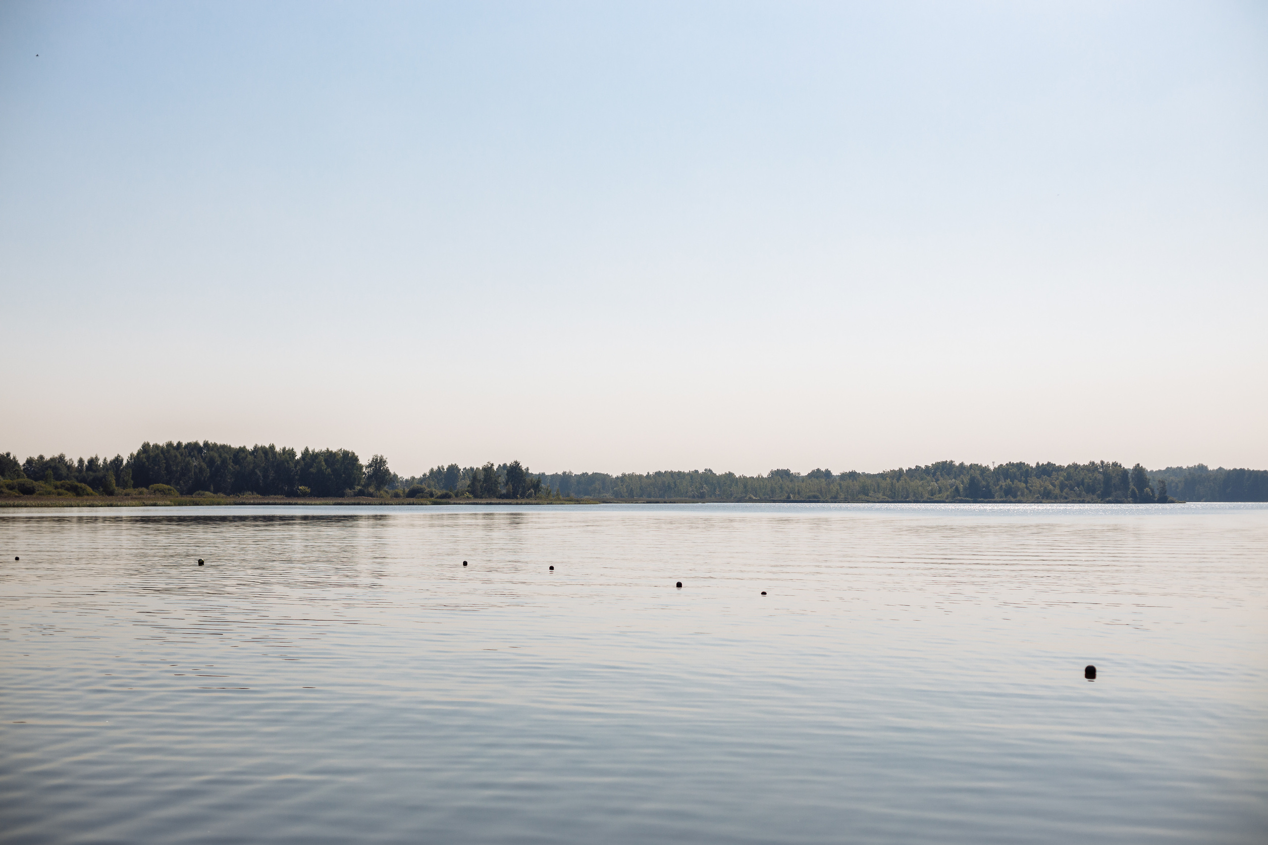 Тимблдинг Siemens. Свадебный и портретный фотограф в Королёве Сергей Чихарев