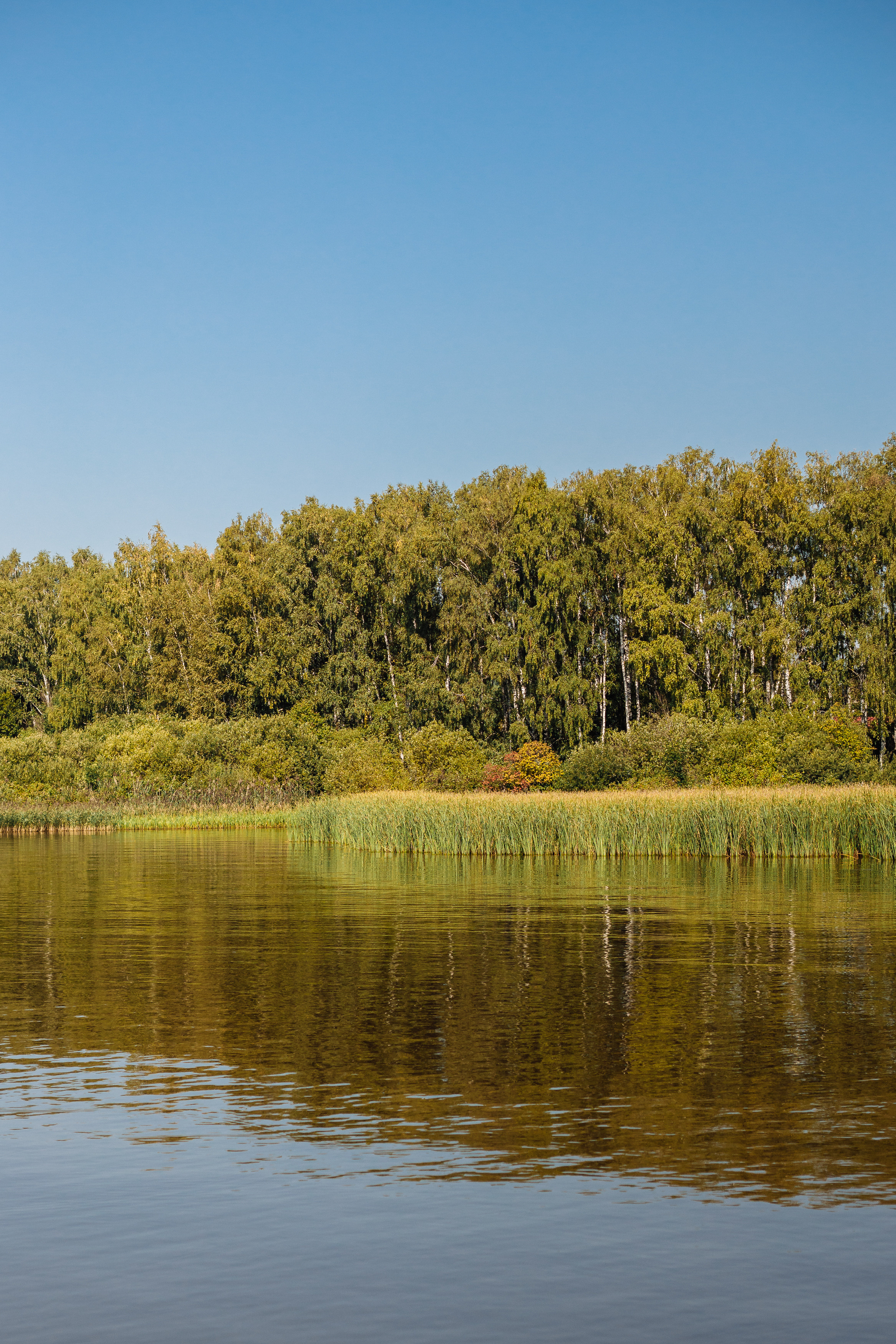 Тимблдинг Siemens. Свадебный и портретный фотограф в Королёве Сергей Чихарев