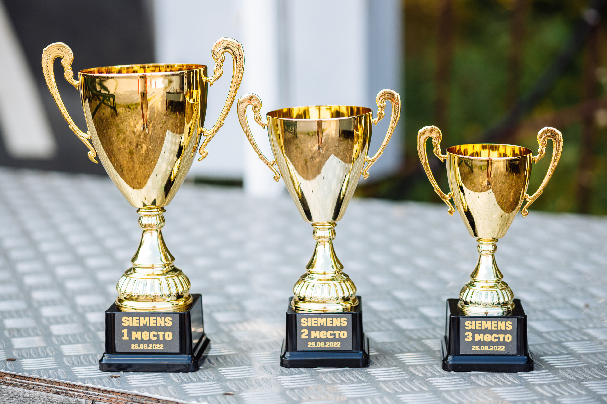 Тимблдинг Siemens. Свадебный и портретный фотограф в Королёве Сергей Чихарев