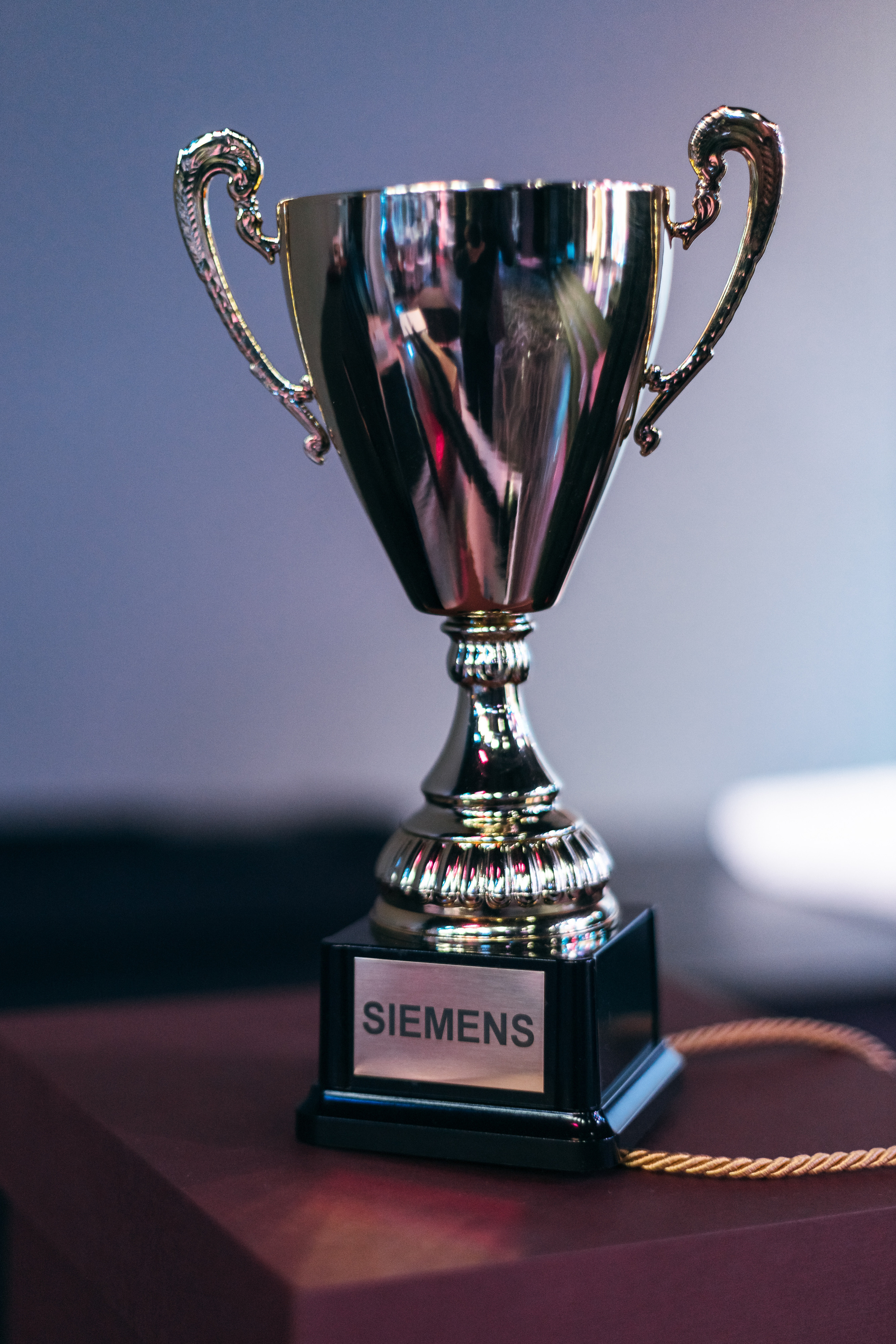 Корпоратив Siemens. Свадебный и портретный фотограф в Королёве Сергей Чихарев