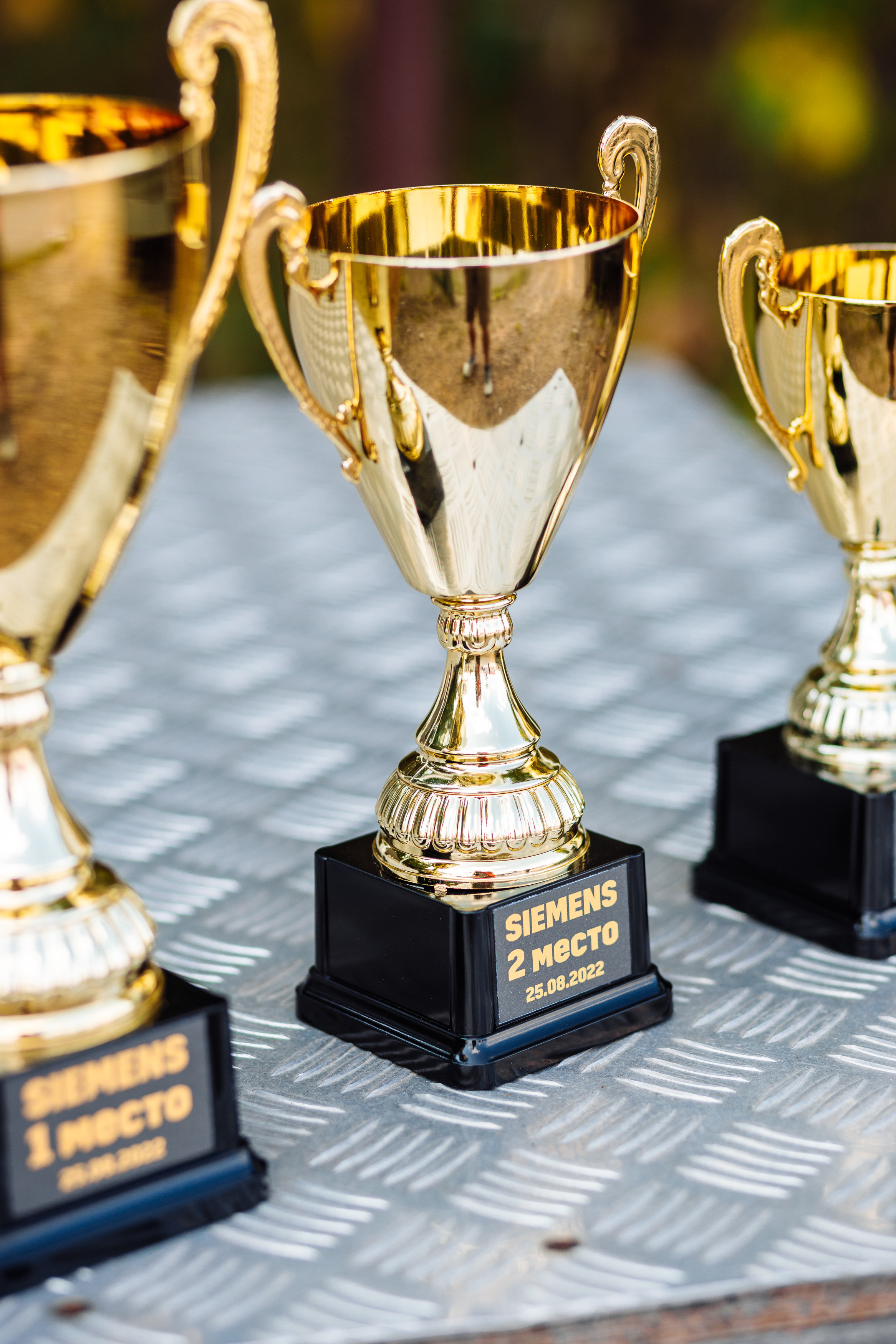 Тимблдинг Siemens. Свадебный и портретный фотограф в Королёве Сергей Чихарев