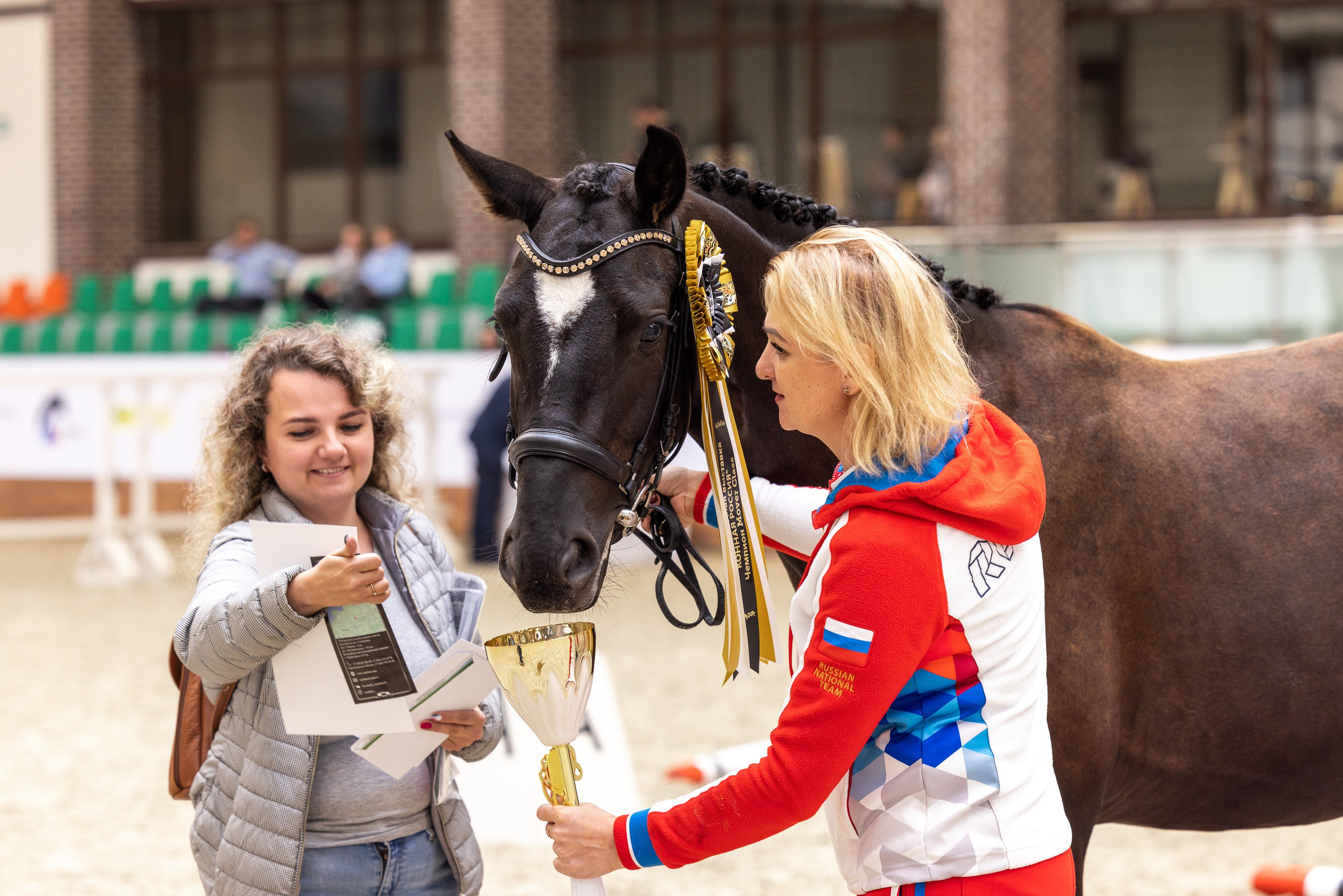 Конные выставки. Mrs.Aquarelia Конный фотограф Марианна Леонтьева