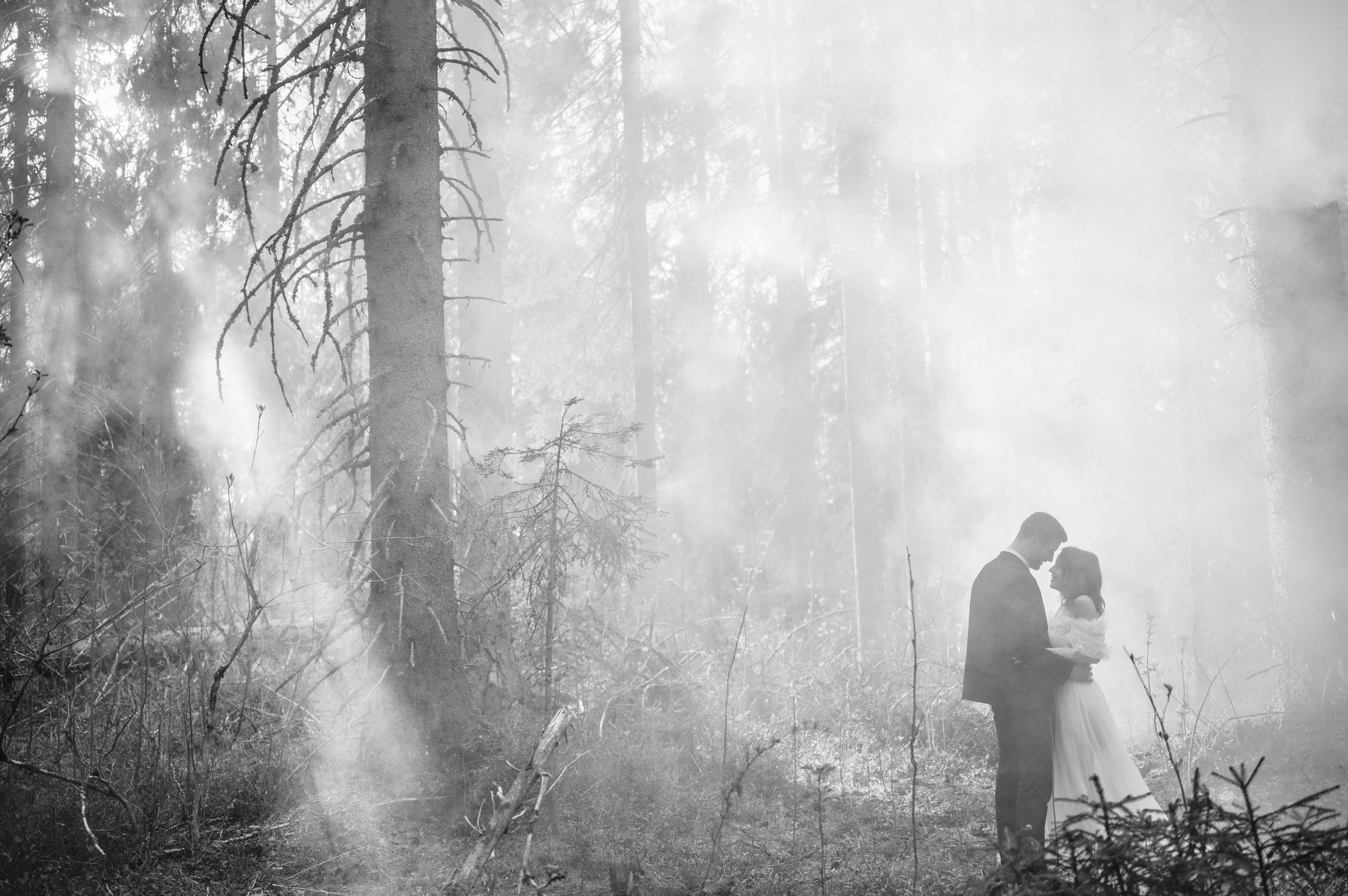 Свадьбы. Не только свадебный фотограф Чеглаков Алексей