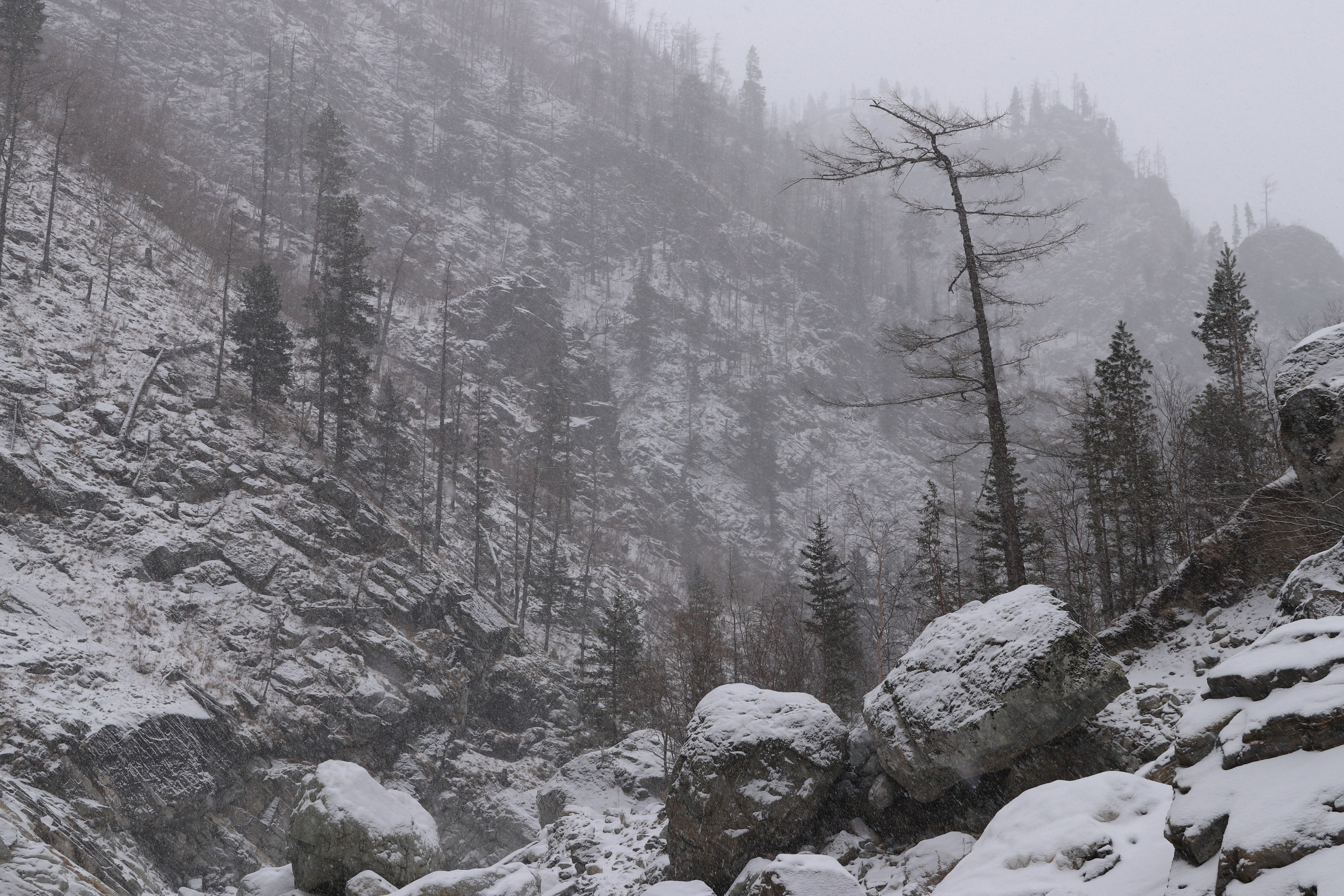 Аршан. Январь 2024. Путешественник-фотограф из Санкт-Петербурга Татьяна Свистулина