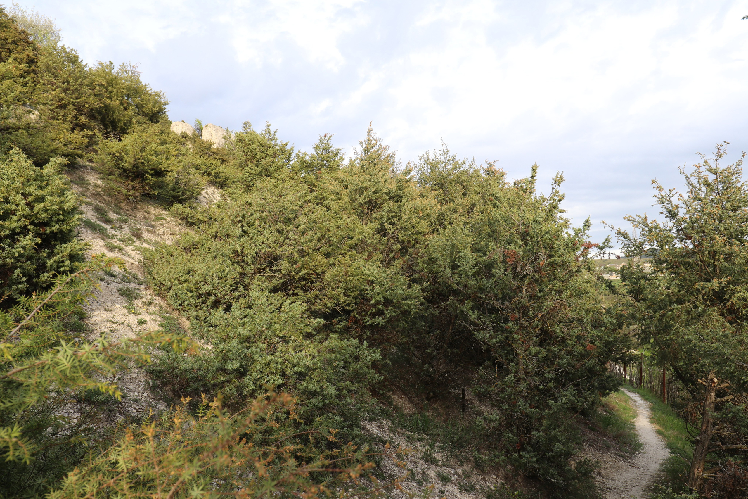 Крым. ЮБК (Бахчисарай, Кастрополь, Таракташская тропа). Май 2021. Путешественник-фотограф из Санкт-Петербурга Татьяна Свистулина