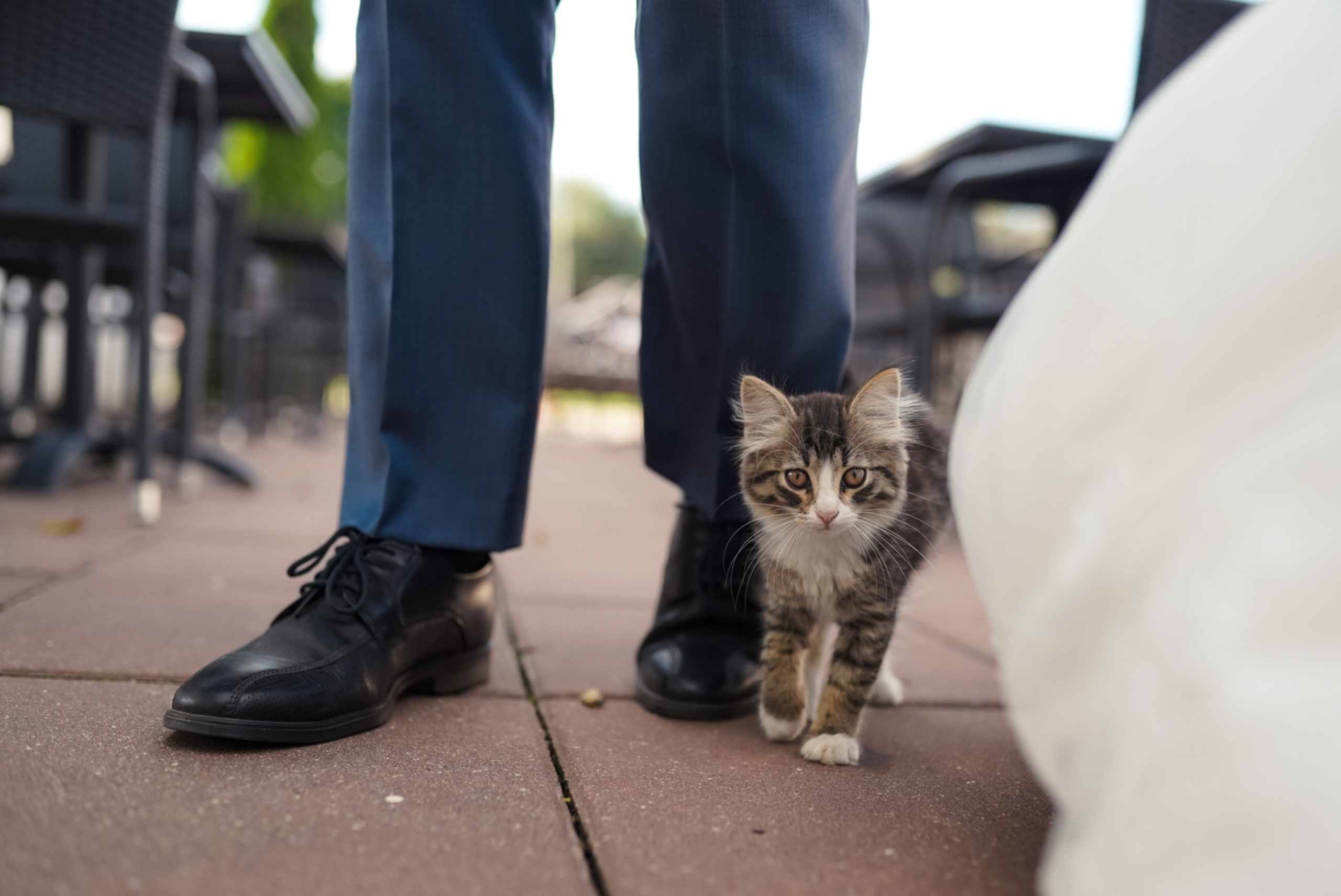 Рустам и Виктория. Твой друг фотограф