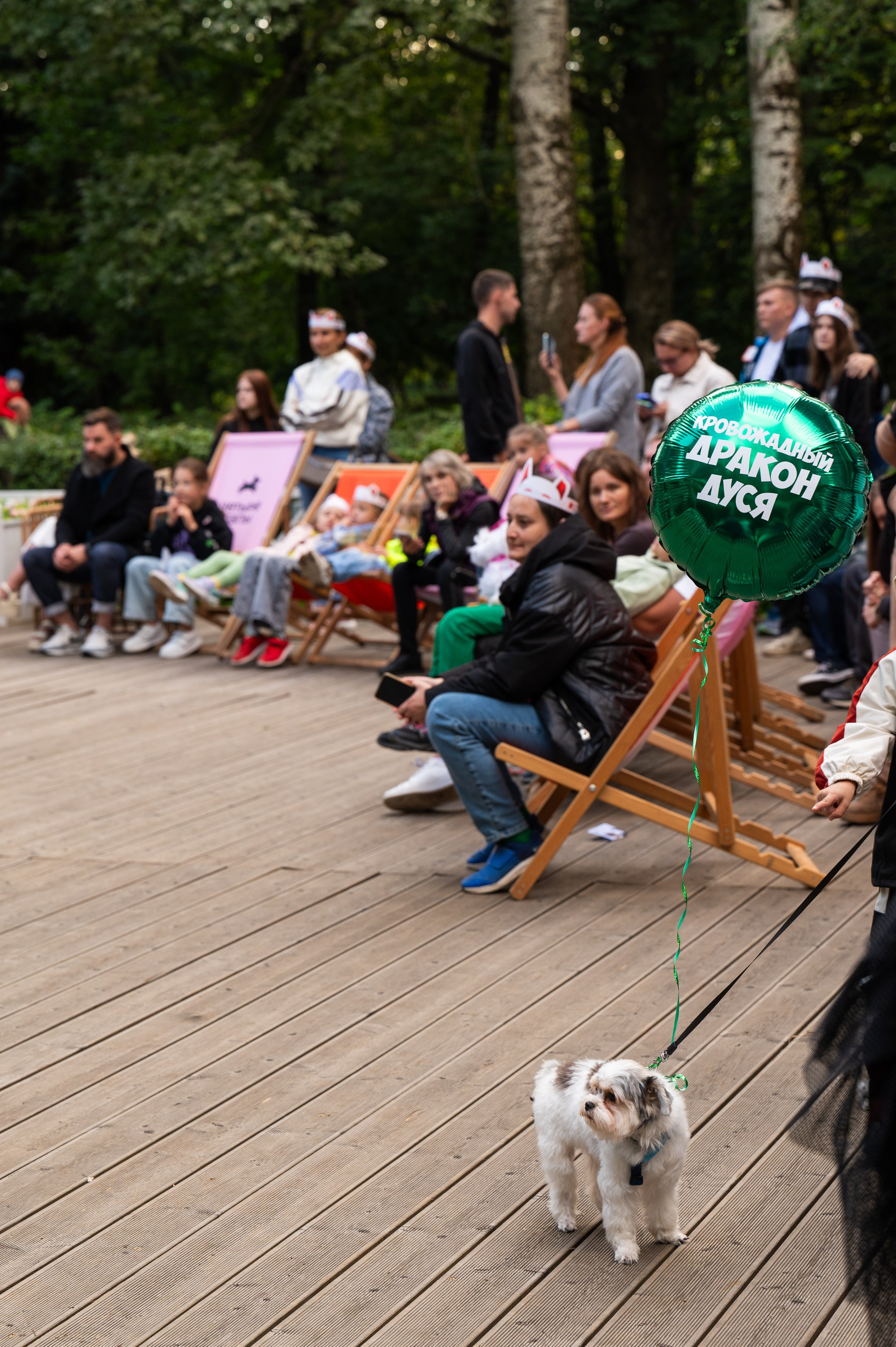 4lapy fest 2025. Photographer in Moscow Anna Chistiakova