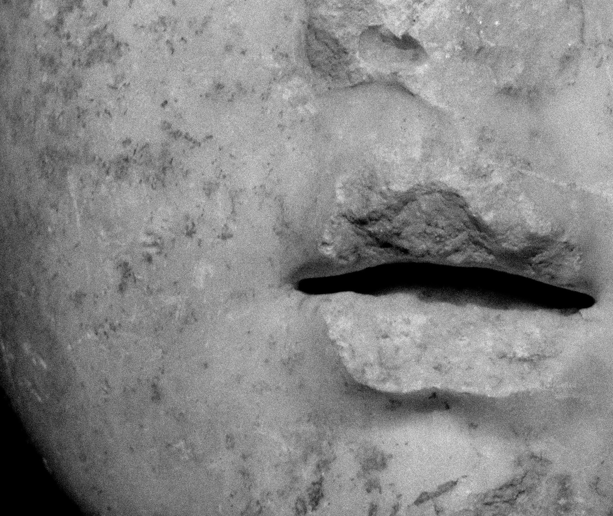 Art portfolio. AleSeeva