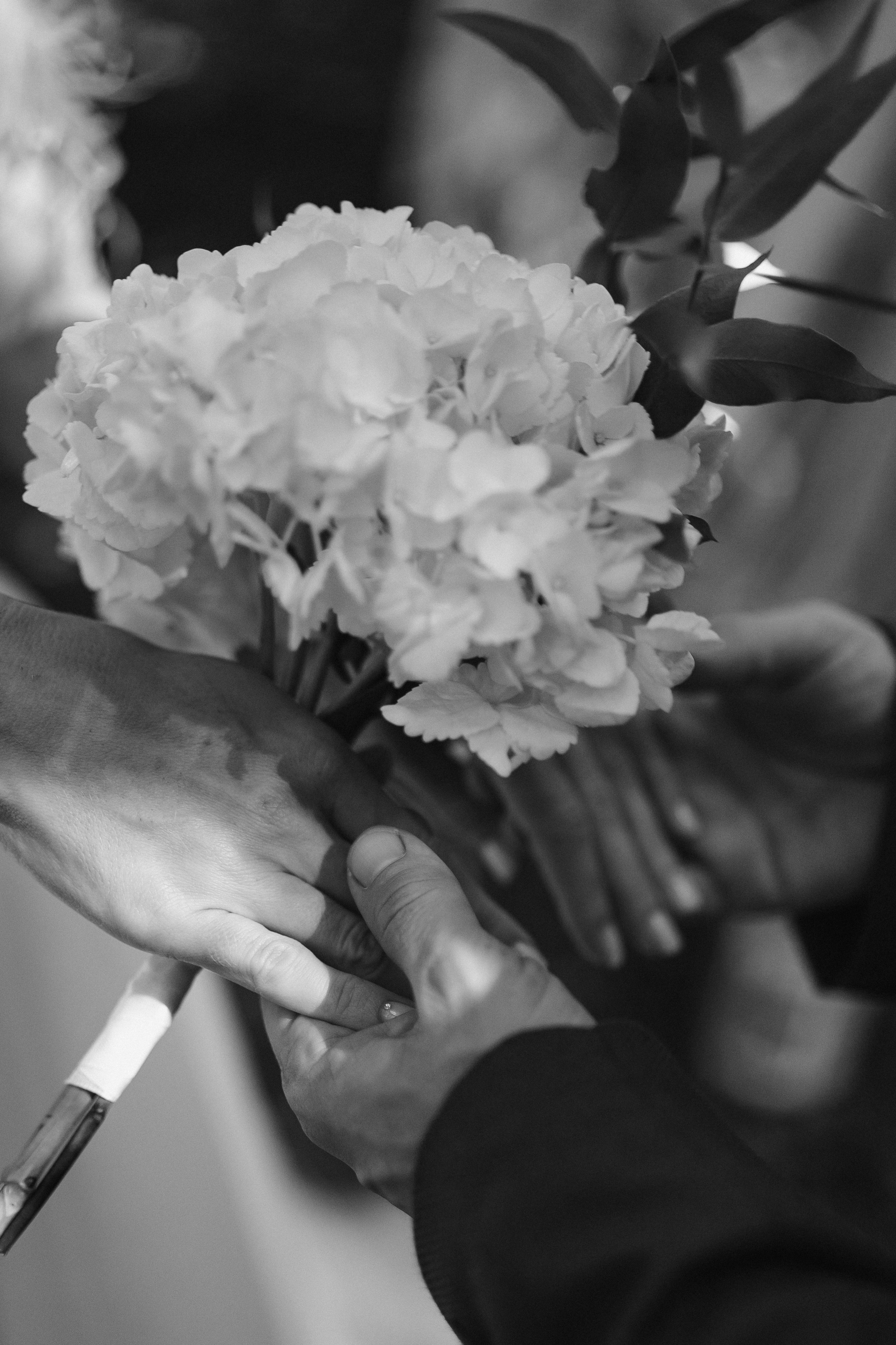 Свадьба Дмитрия и Алёны. Главная