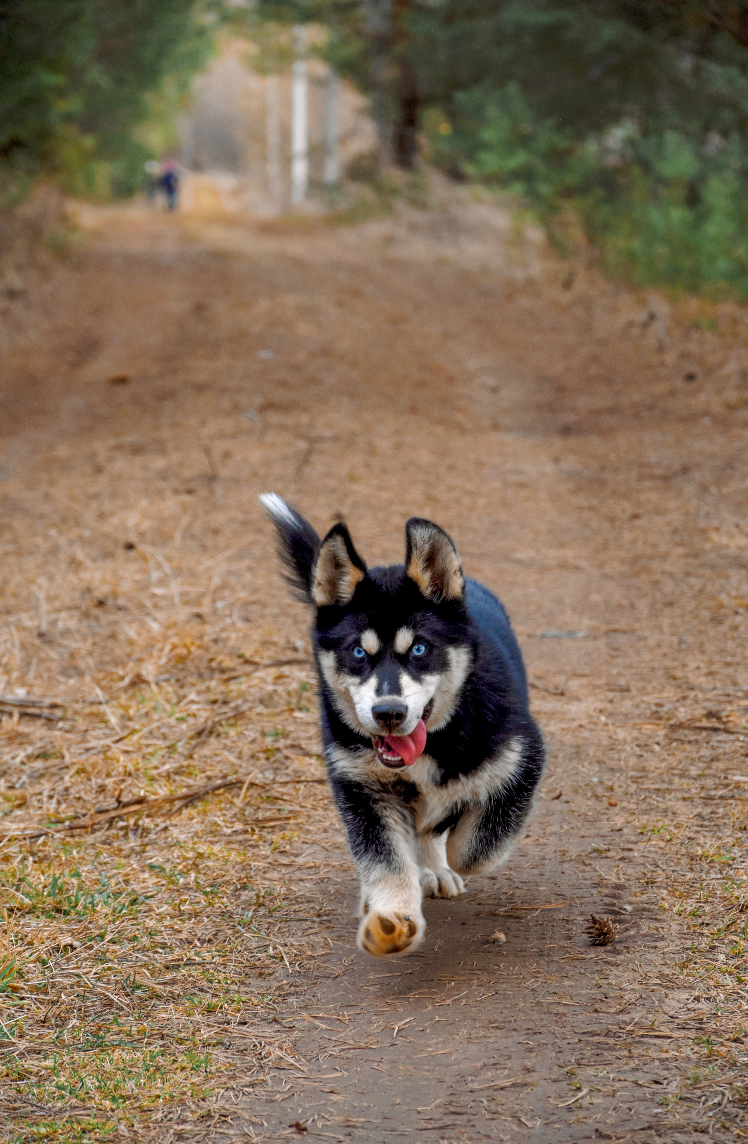 Шоколадная весна Киров Кировская область