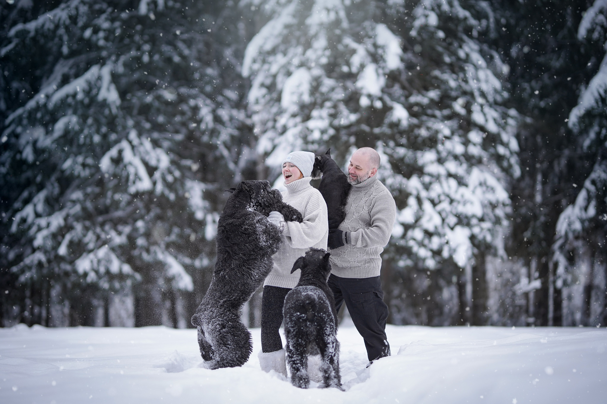 Оля Миша и шнауцеры. Фотограф-анималист в Санкт-Петербурге Яна Мартынова