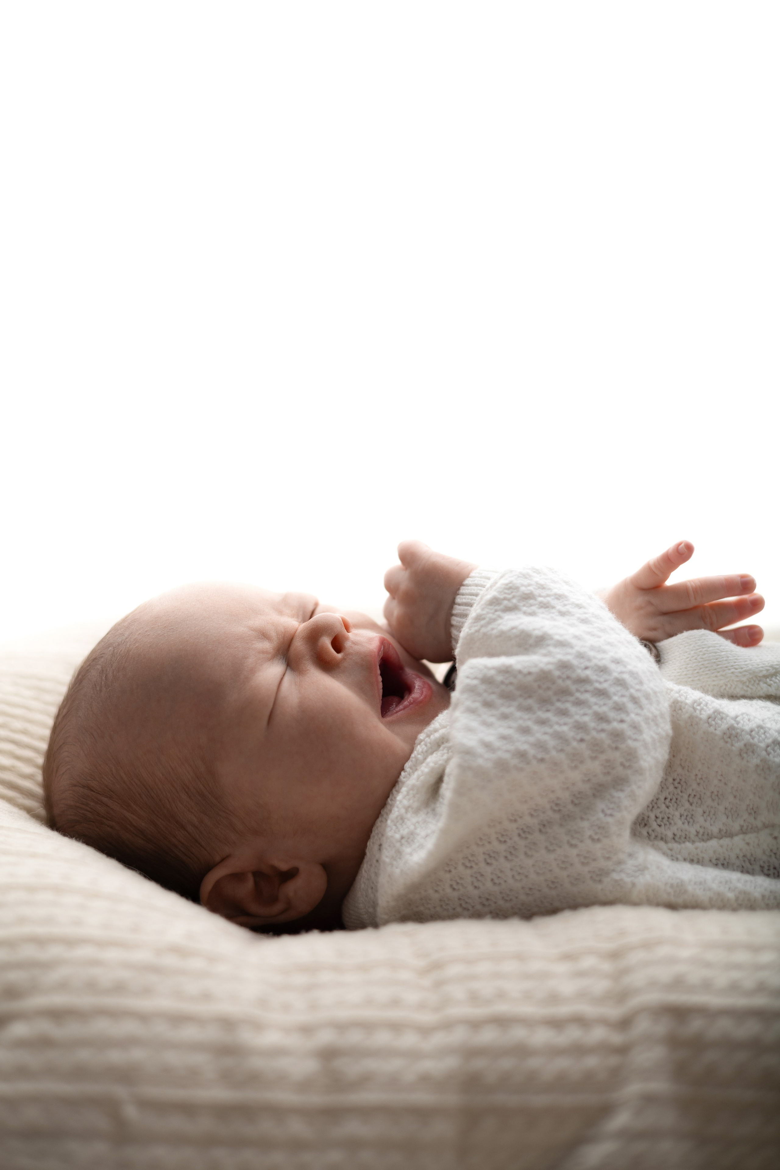 Лев. Лилия Алтухова — фотограф новорожденных в Москве и области