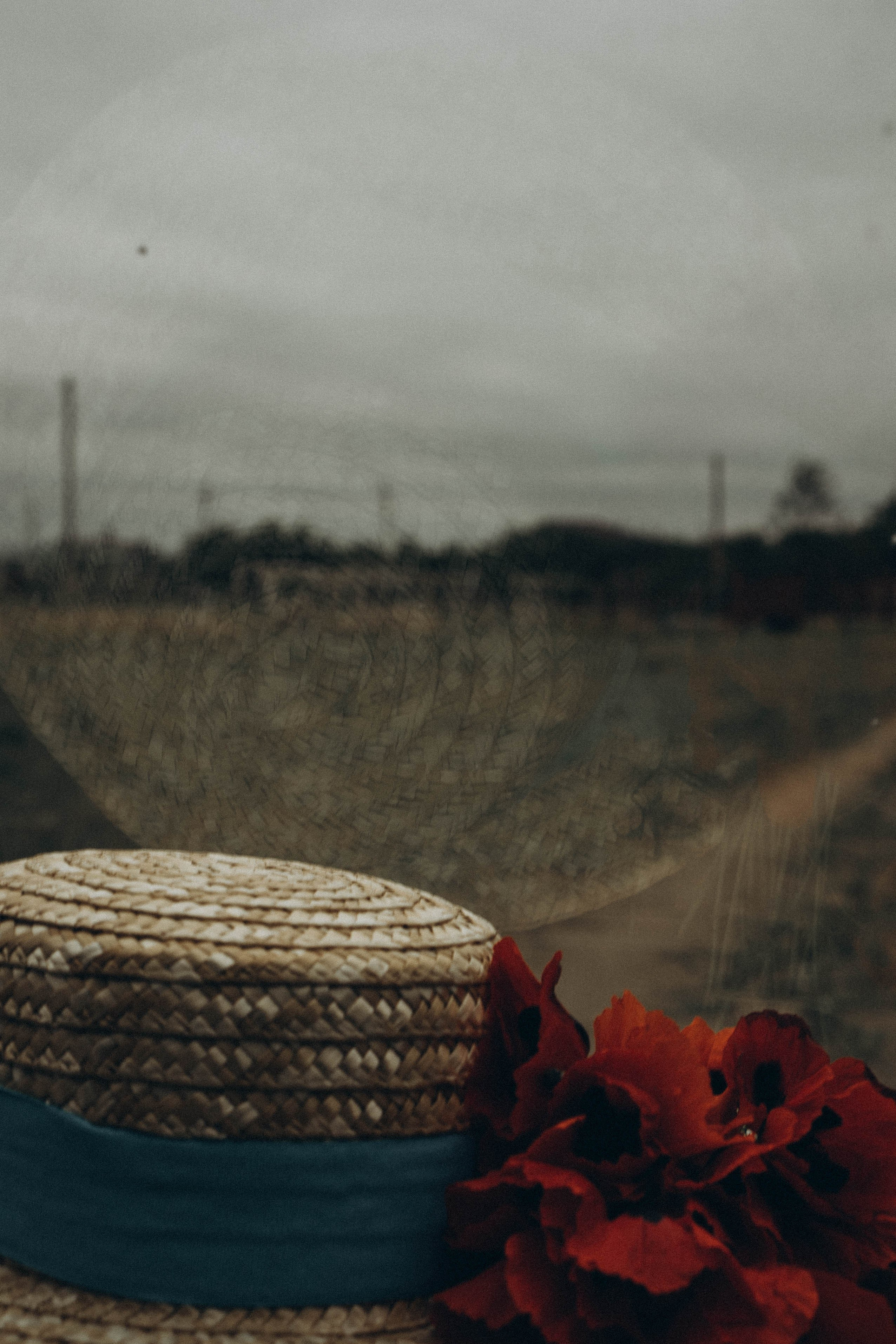 Кавказ. Профессиональный фотограф, Санкт-Петербург — Виктория Богомолова