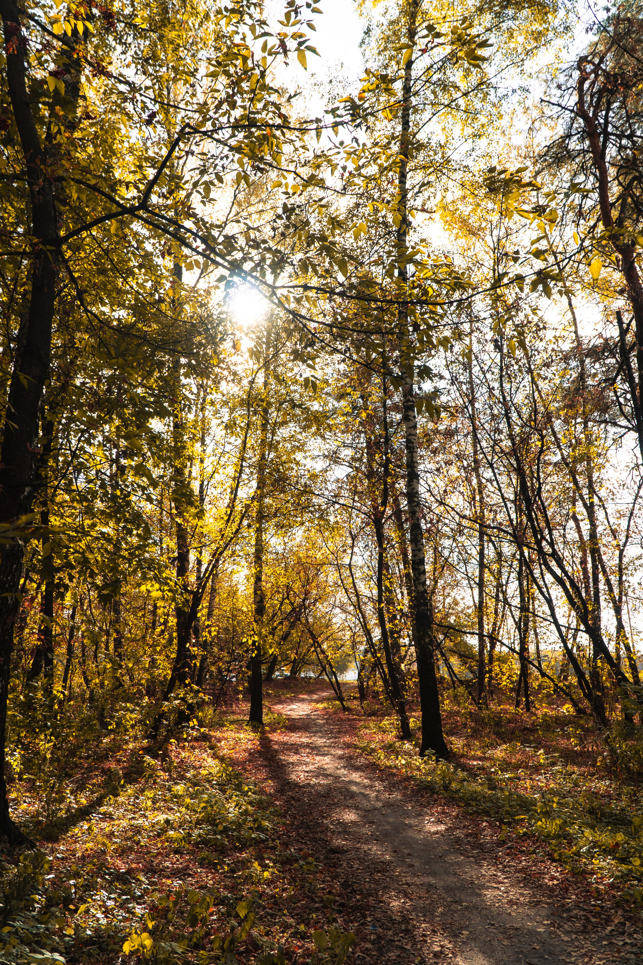 5 вёрст Наташинский 4 октября 2025. Роман Капилюшов. Бег. Фото. Видео. г. Люберцы