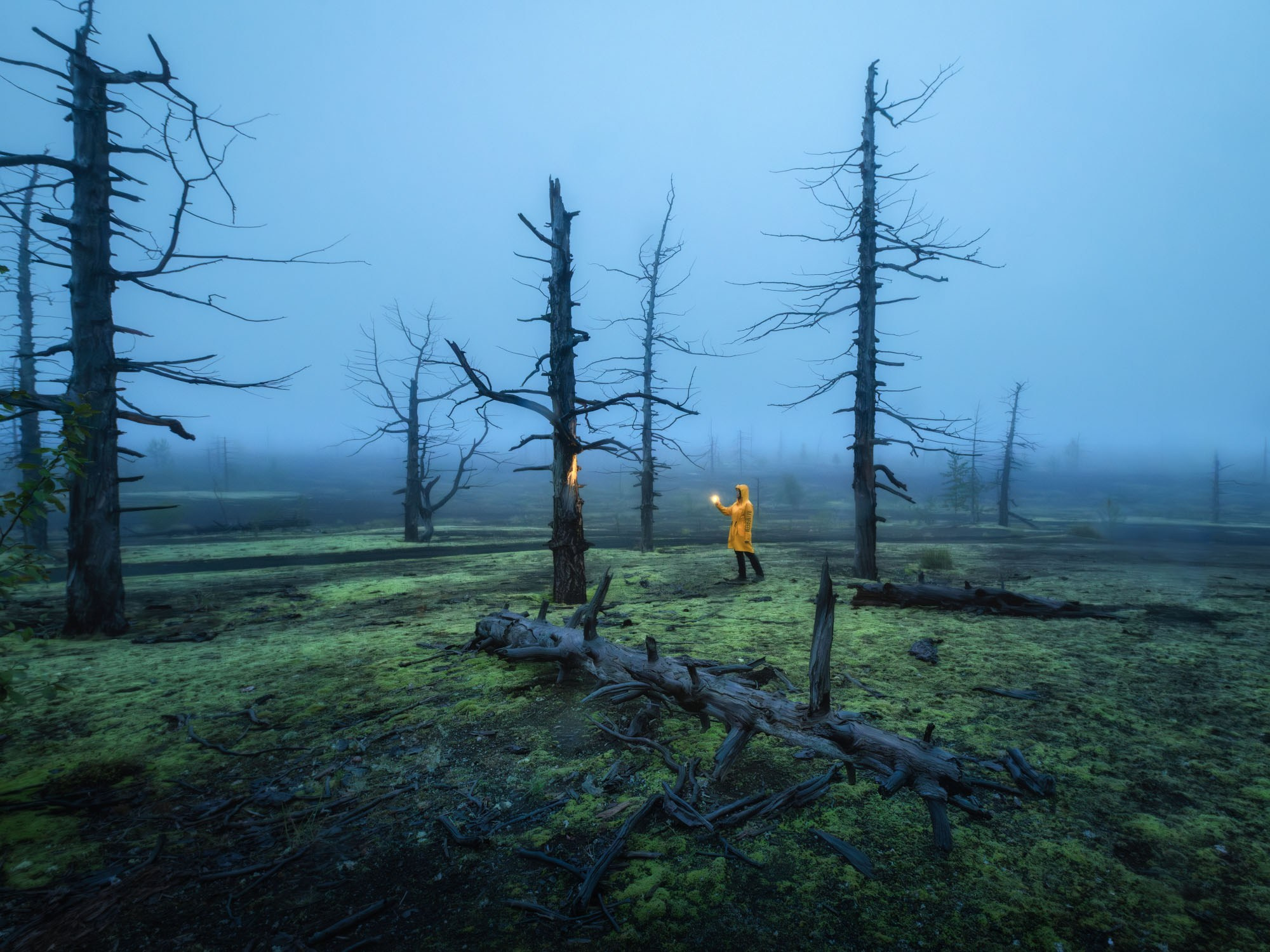 Фотографии Камчатка