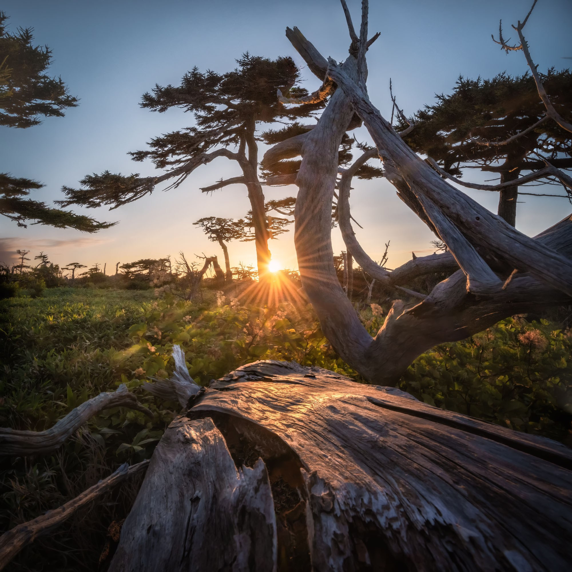 Фототур на Курилы на Итуруп 2025