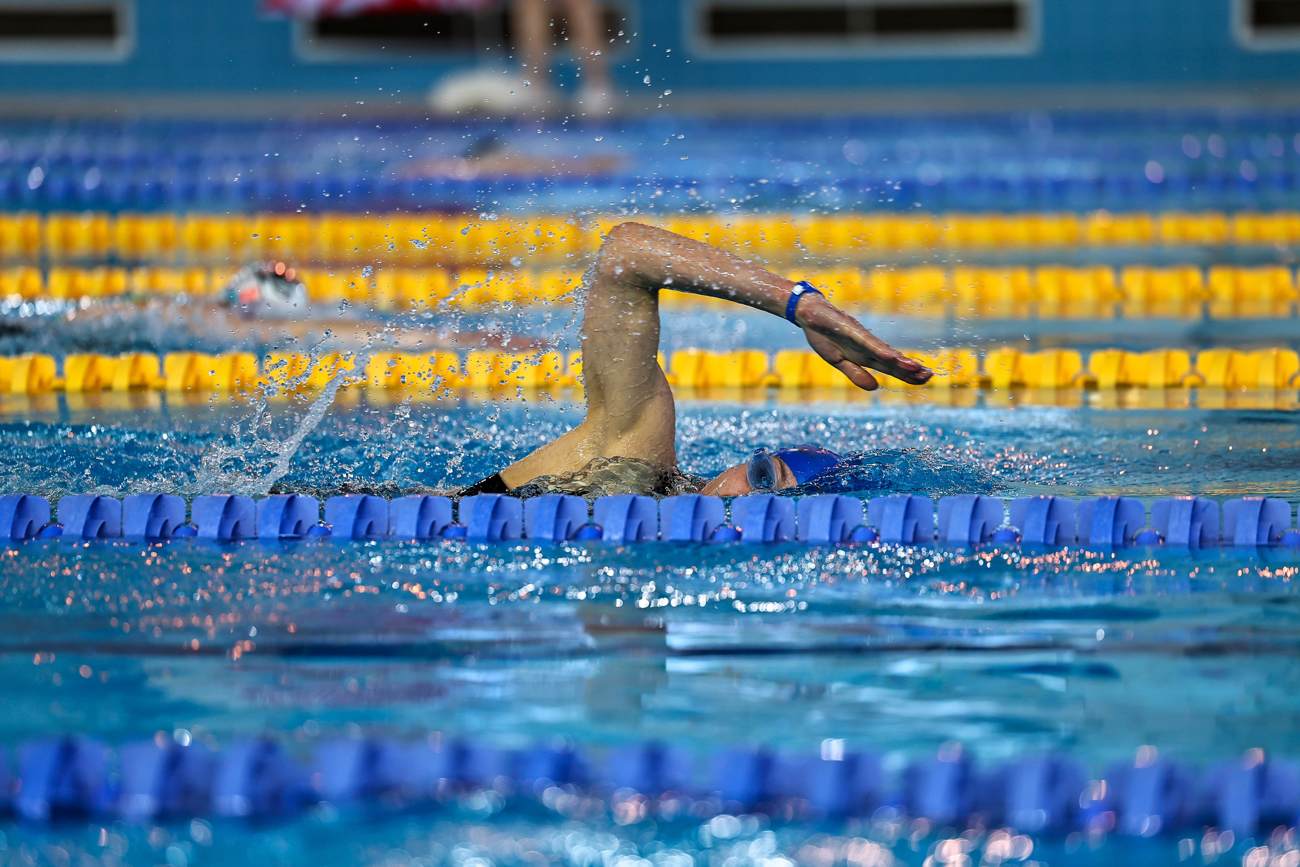 ДЗМ Плавание 2026. Фототерапевт Ева Бунеева
