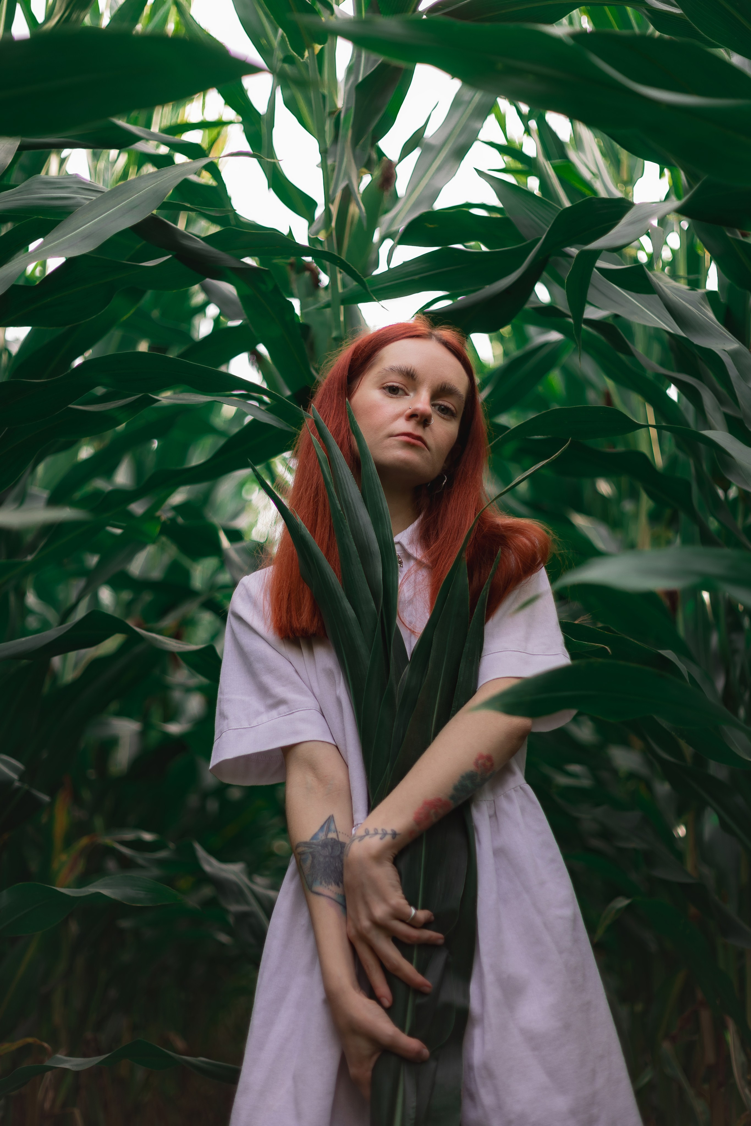 Девушка на кукурузном поле. Фотограф в Санкт-Петербурге и Москве Наталья Милли