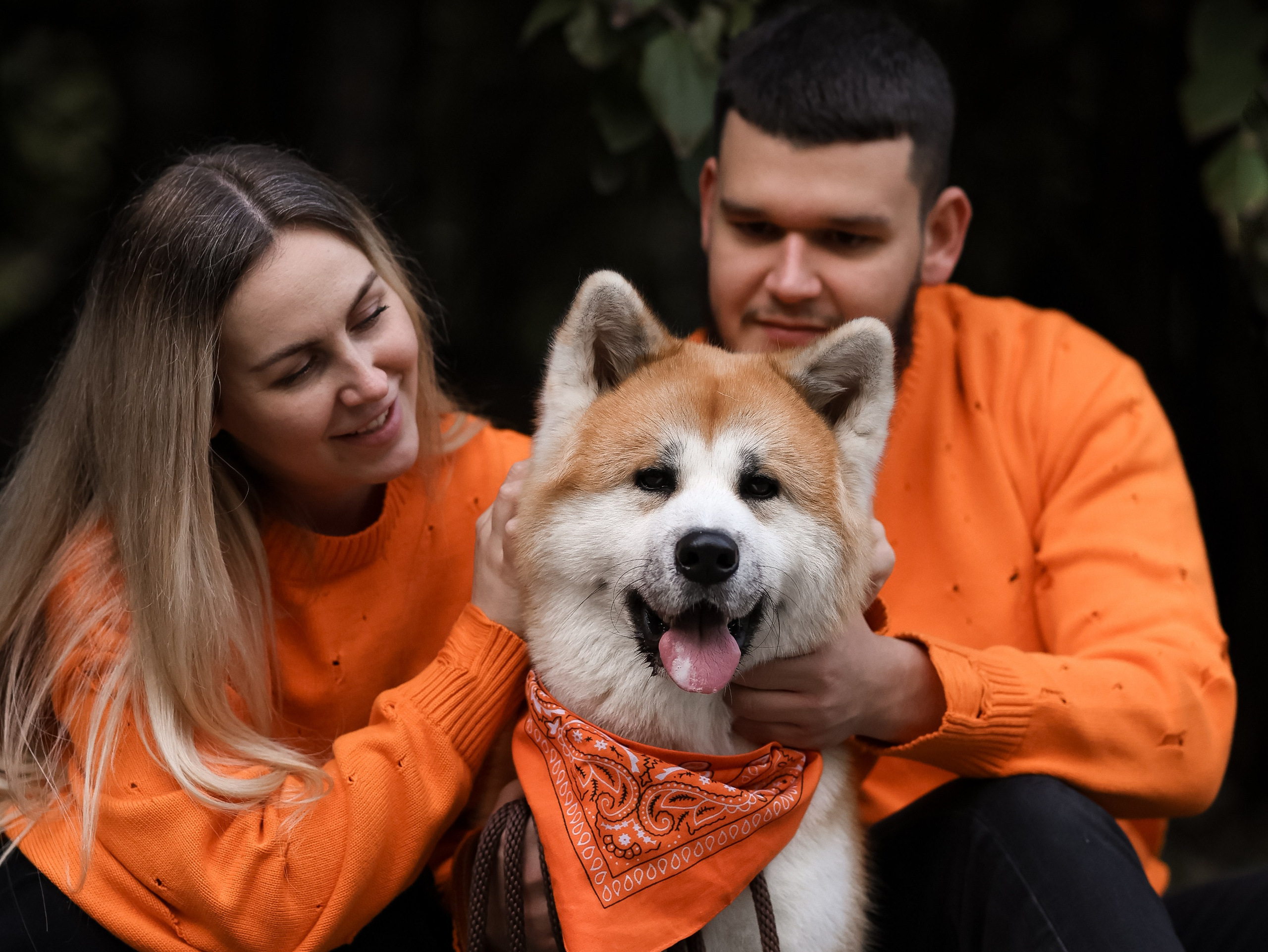 Гранд, Вика и Степан. Фотограф-анималист в Москве Кириллова Татьяна