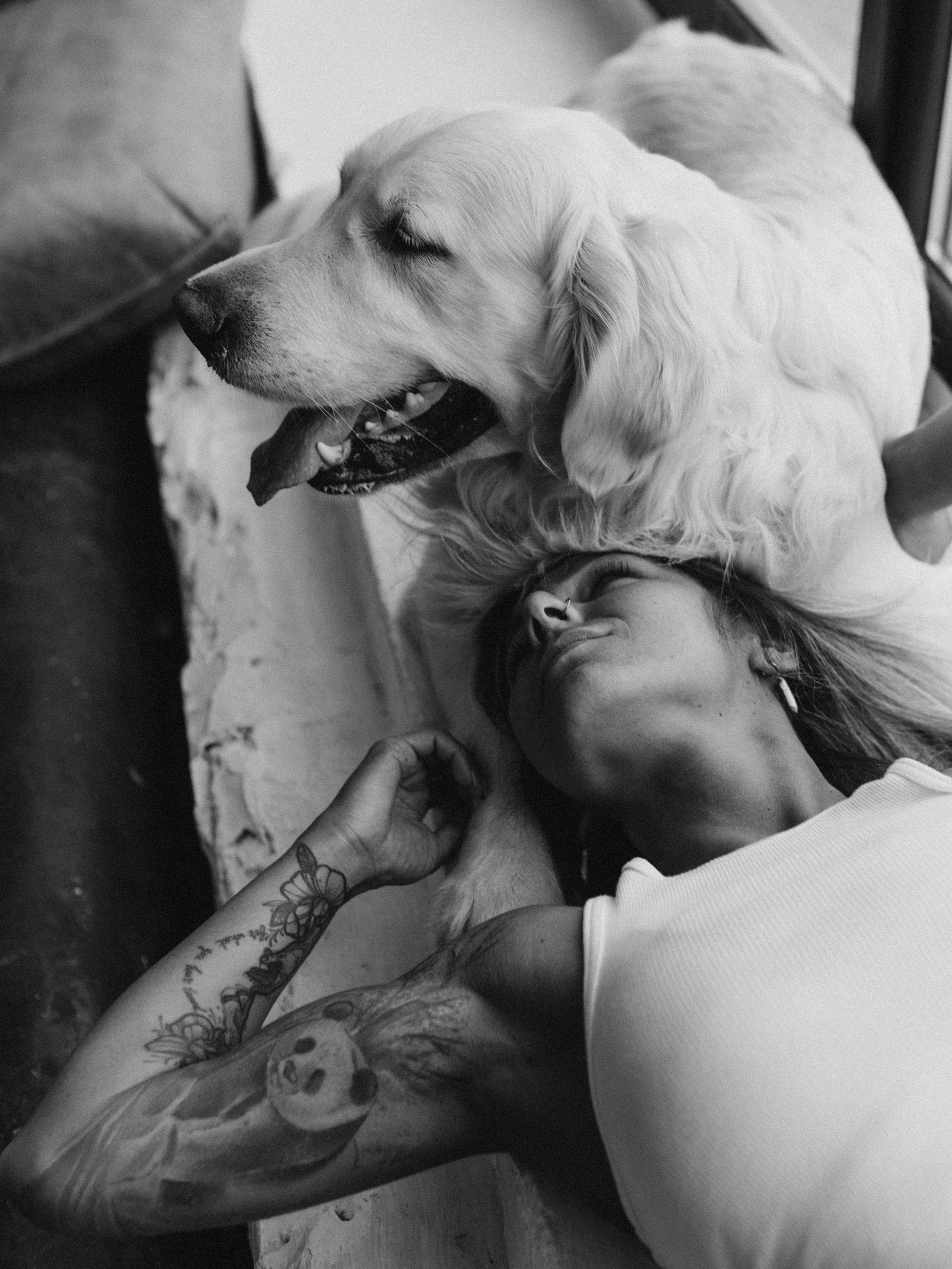 Энди и Настя. Фотограф-анималист в Москве Кириллова Татьяна