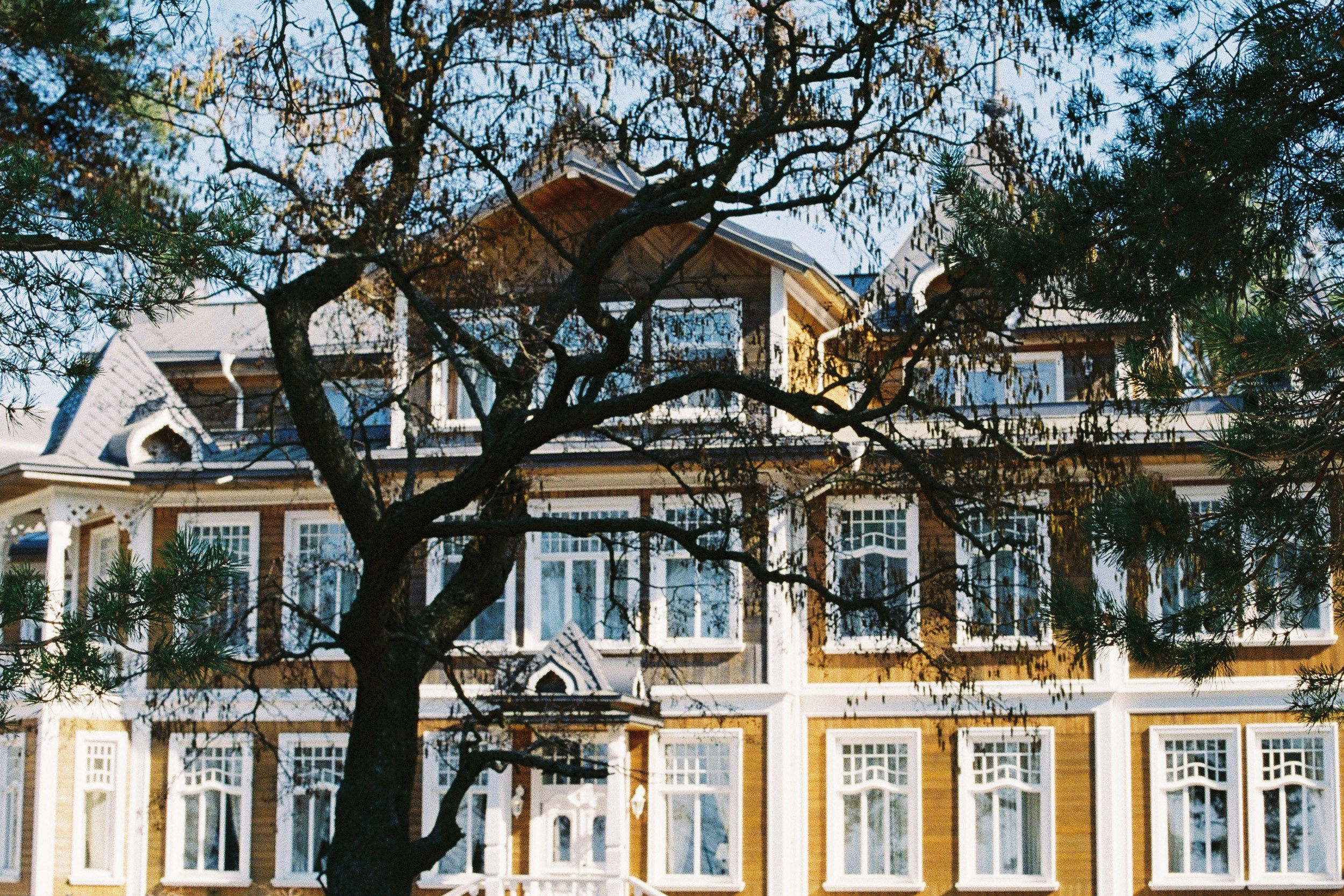 Мы выиграли в любовь. Свадебный фотограф в Санкт-Петербурге, Москве, СПб Сергей Поддубный