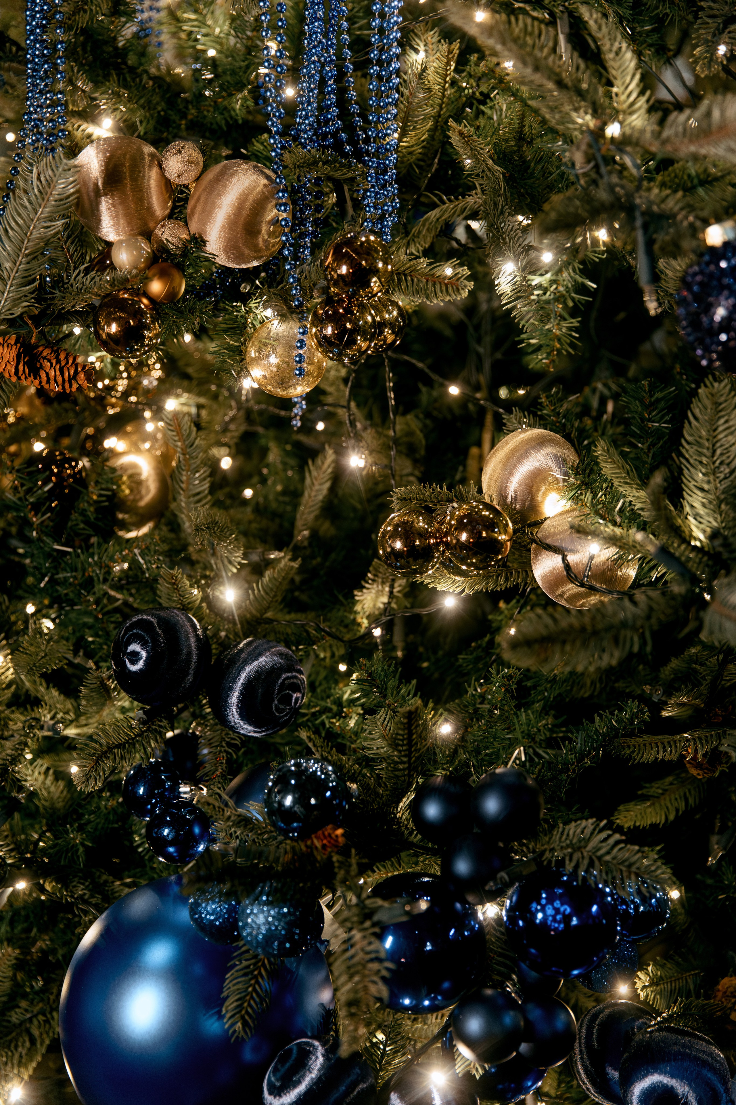 COLLA GEN. Фотограф в Красноярске