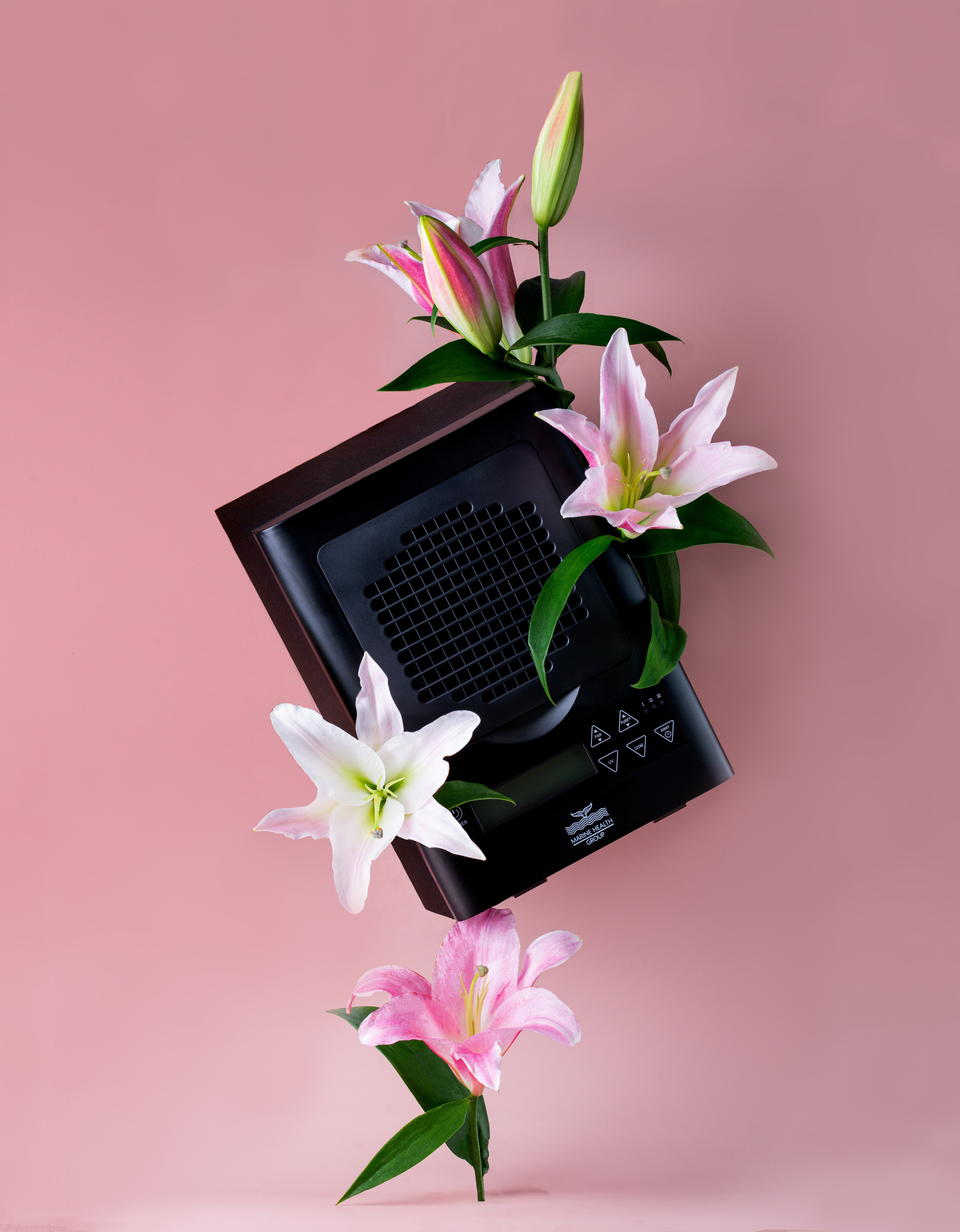 Портфолио. Предметный и фуд фотограф в Алматы Галина Лимит