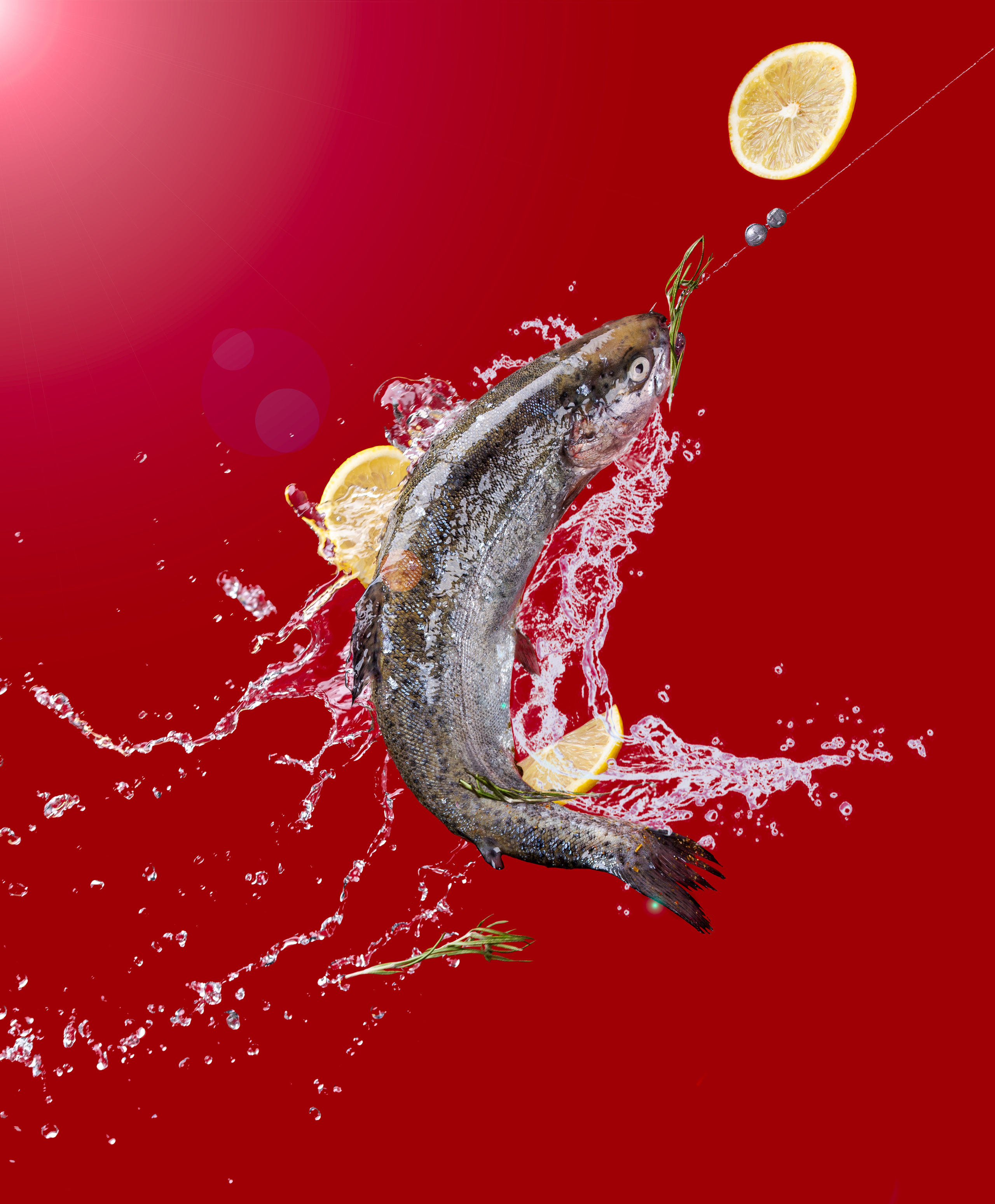 Портфолио. Предметный и фуд фотограф в Алматы Галина Лимит