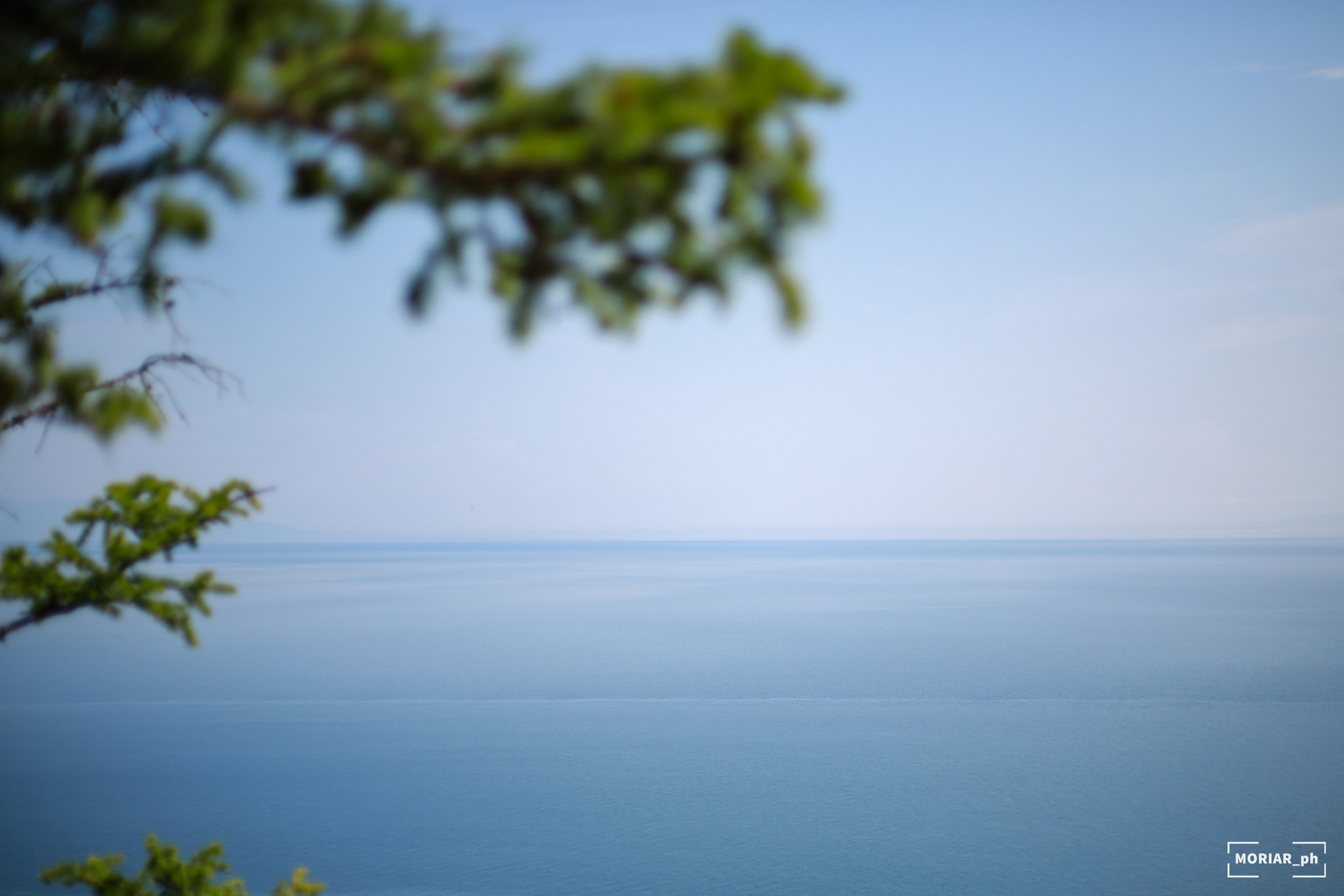 Отпуск. Портретный и репортажный фотограф в Кемерово Алексеева Анастасия