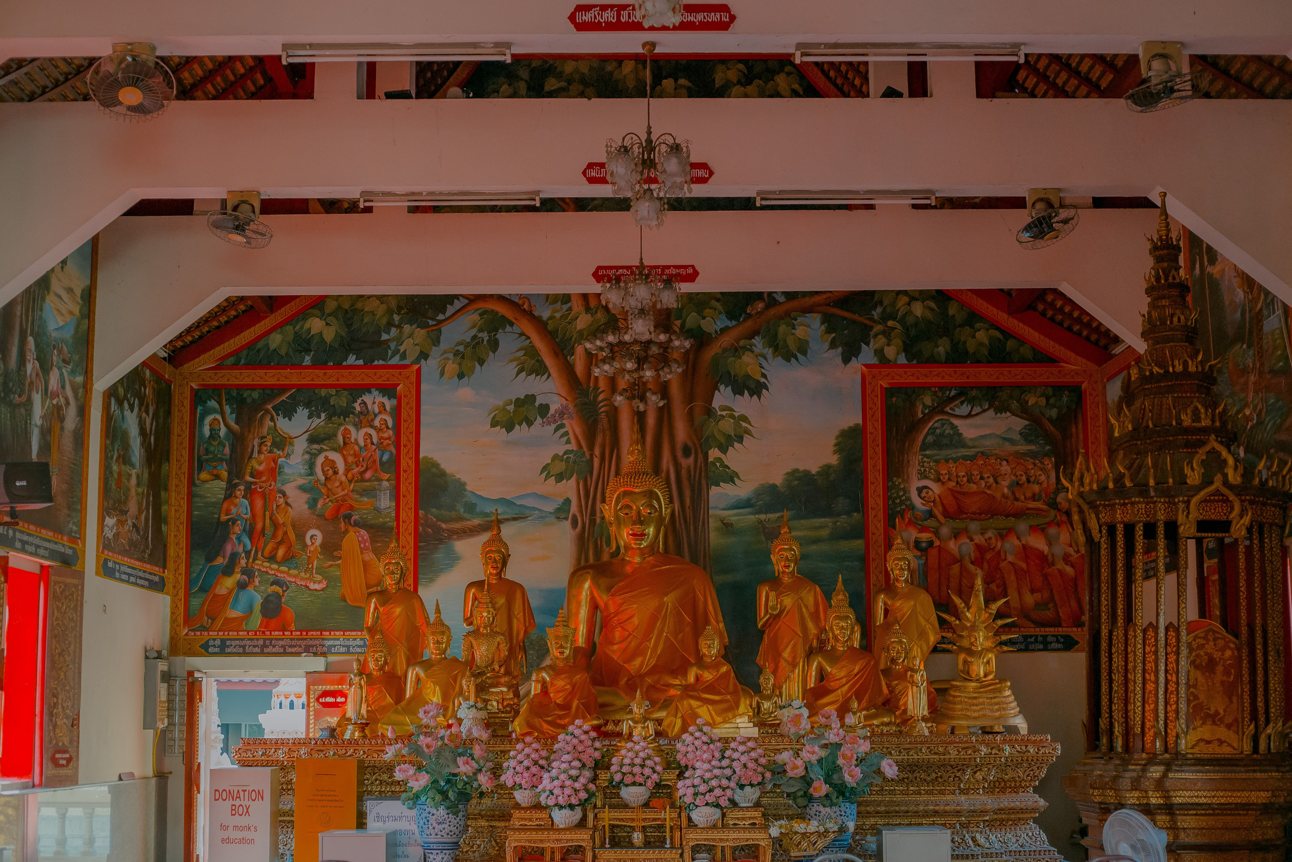 Thailand, Chiang Mai. Art Photographer