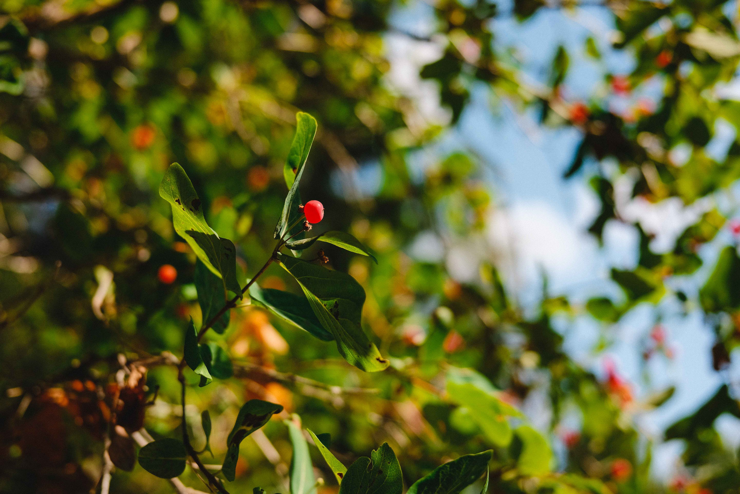 2023.07. Фотограф Алексей Алексеев