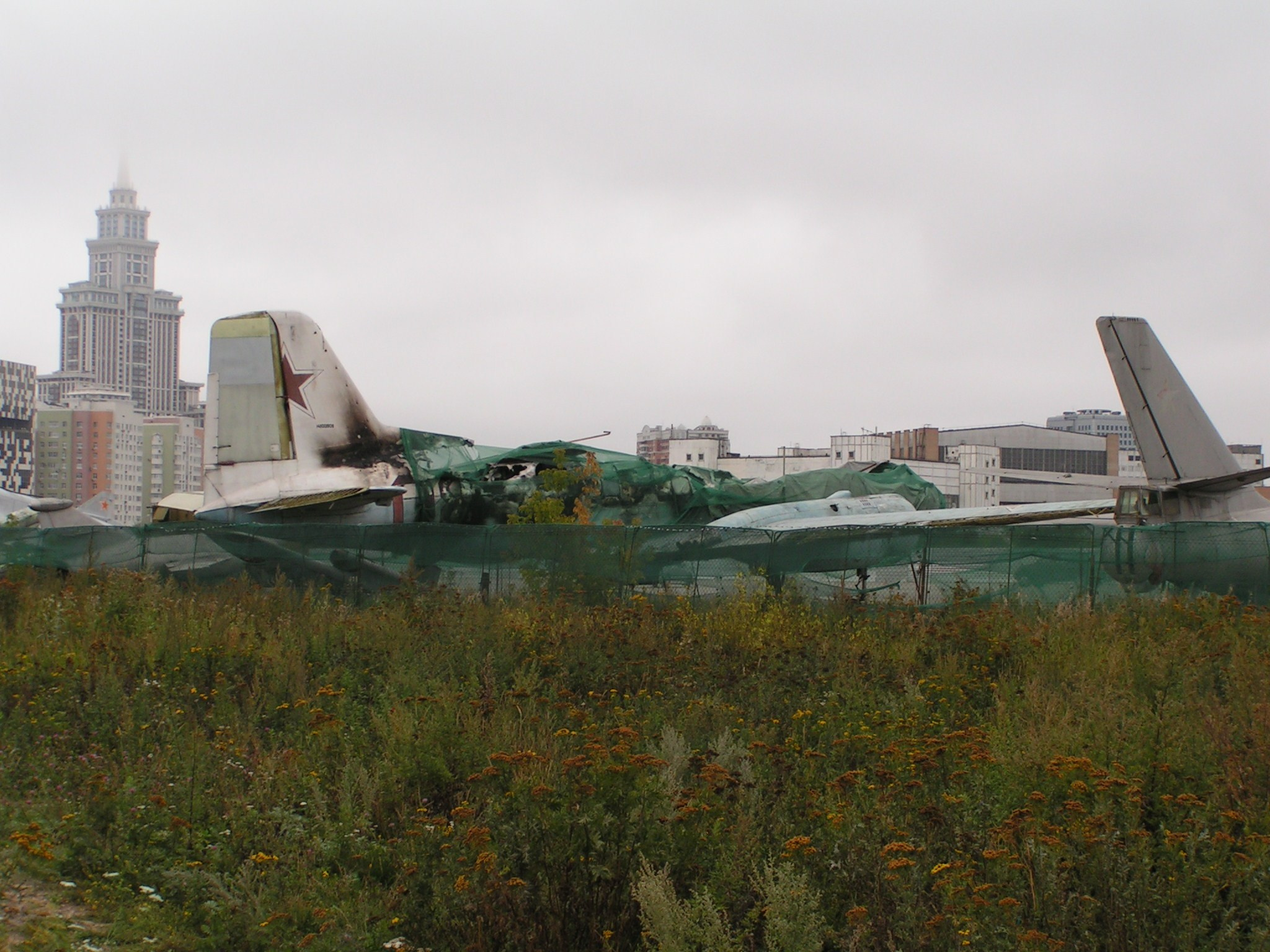 Ил-14 (Ходынка) — уничтожен. Фотоальбом показывающий увлекательный мир авиации и мир медведей Андрея Иванова