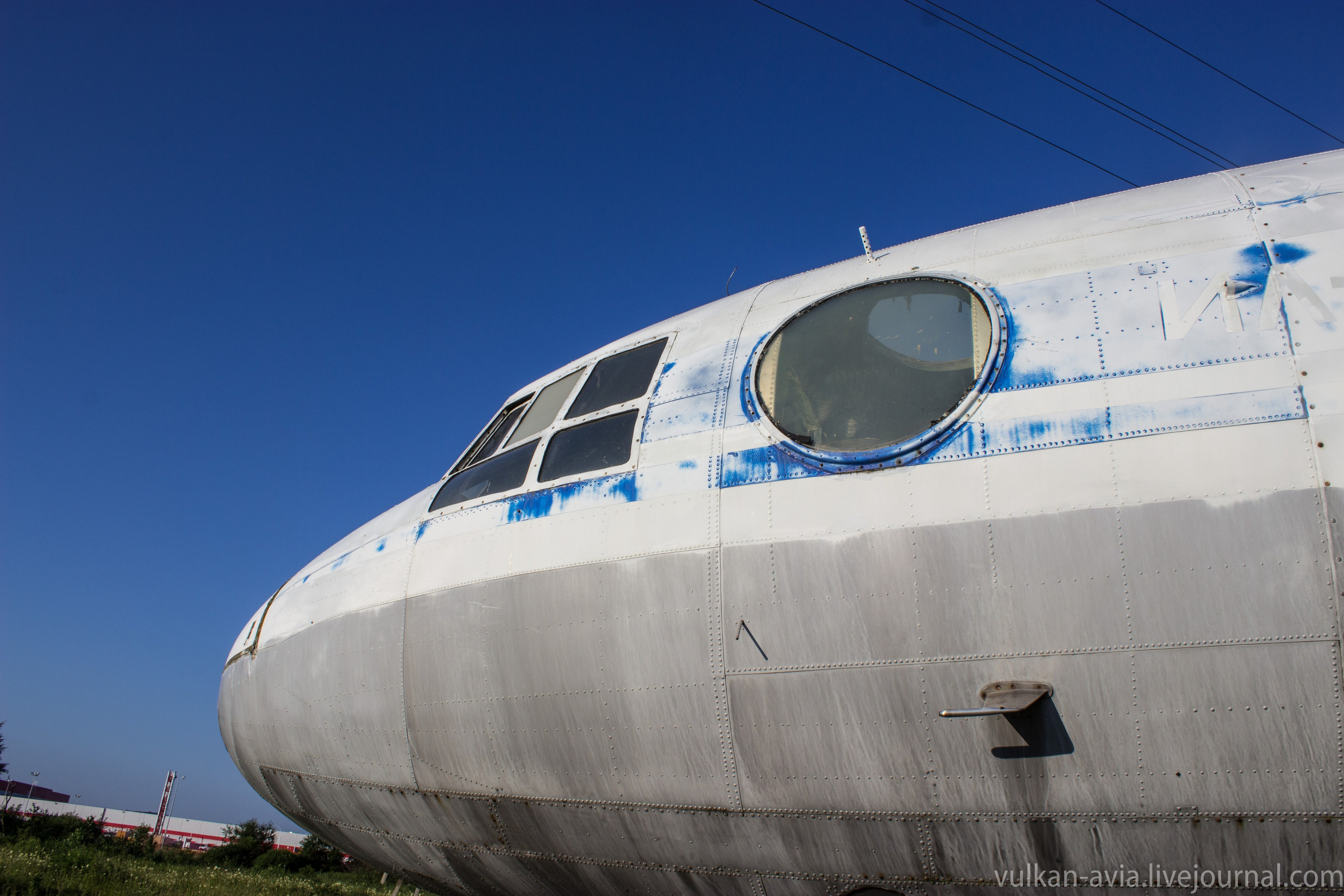 Ил-14 (Пермь, Фролы). Фотоальбом показывающий увлекательный мир авиации и мир медведей Андрея Иванова