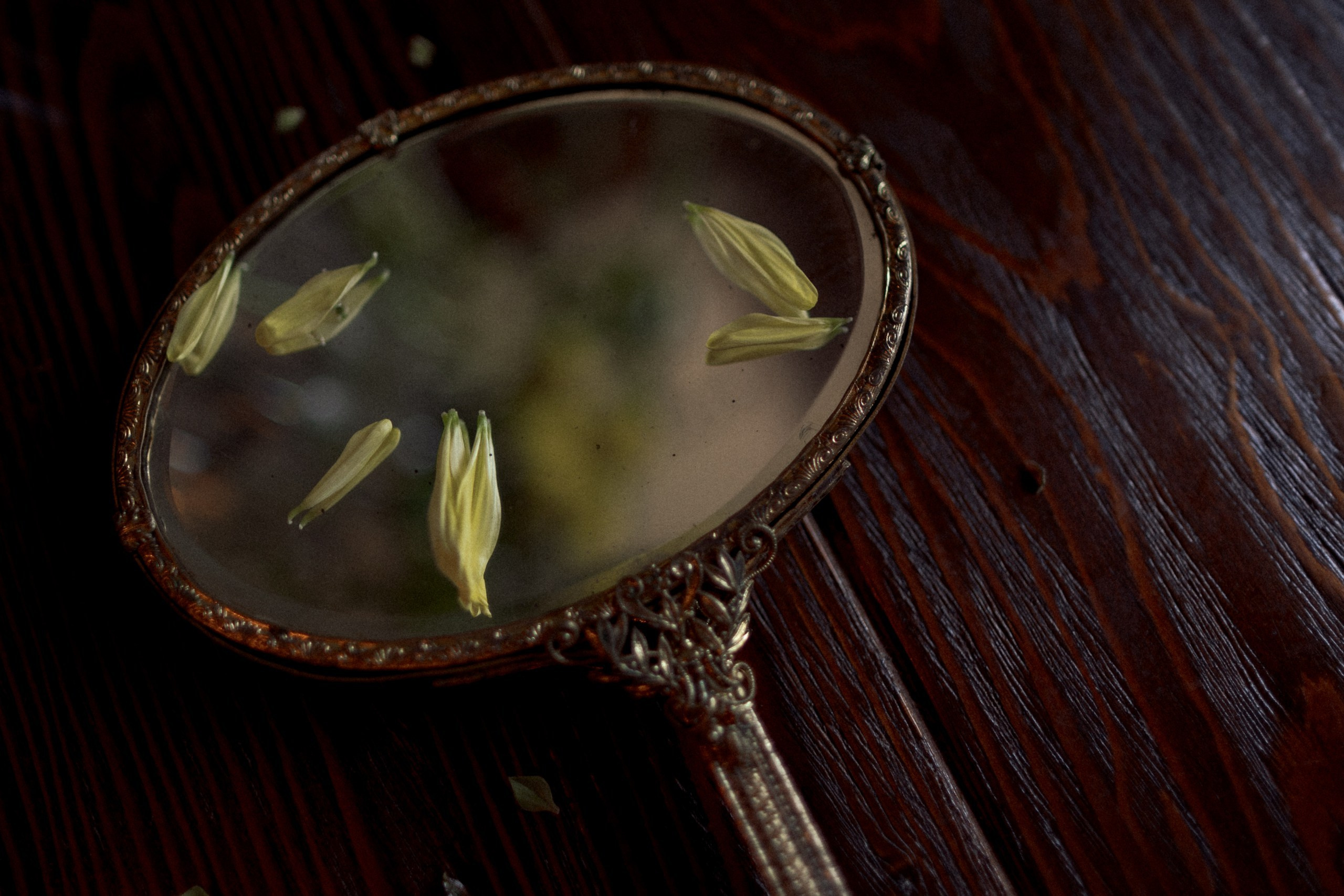 Julie and George. Elopement Wedding Photographer