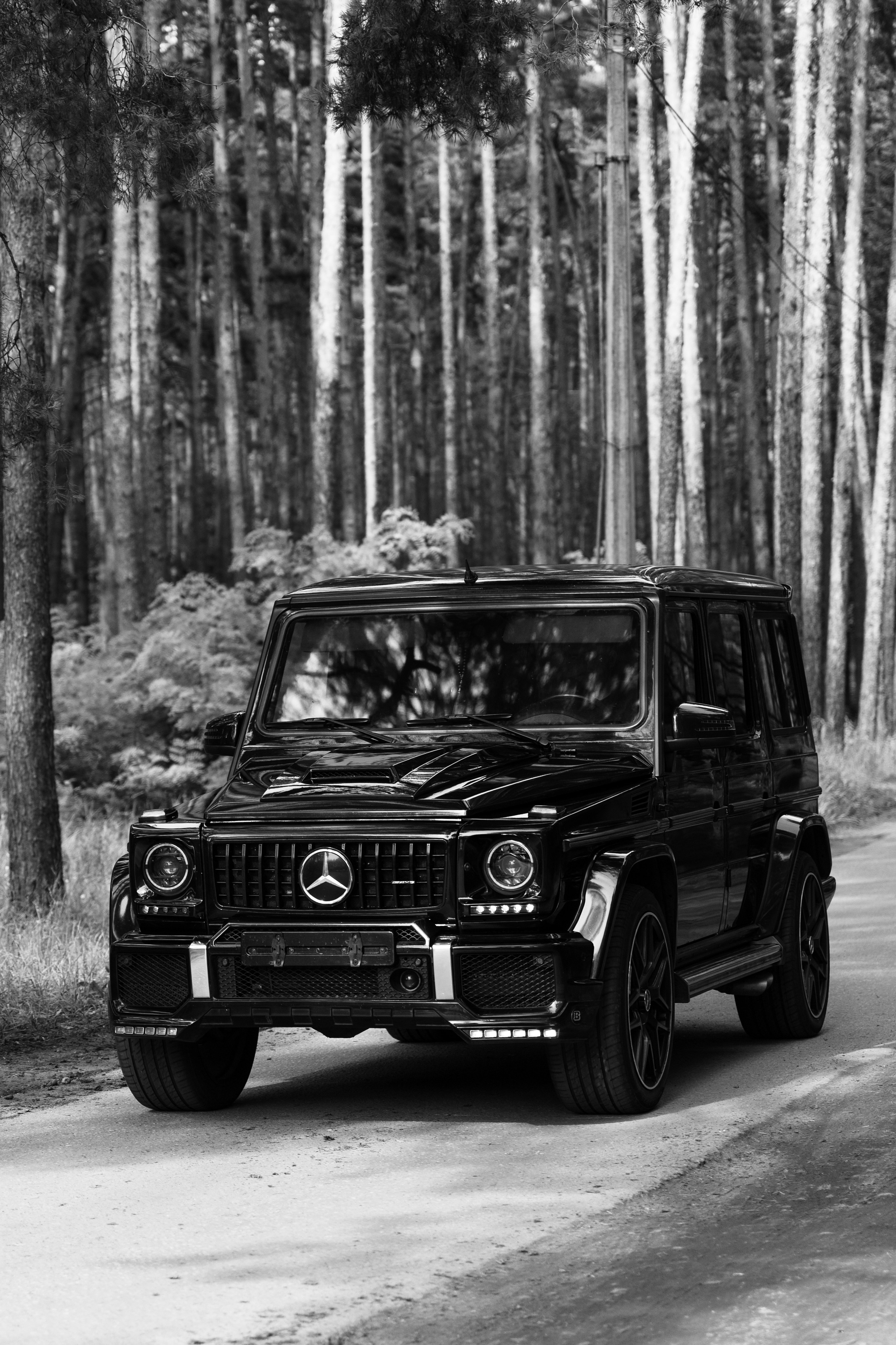 Андрей и Алина. Фотограф Екатерина Бочарникова