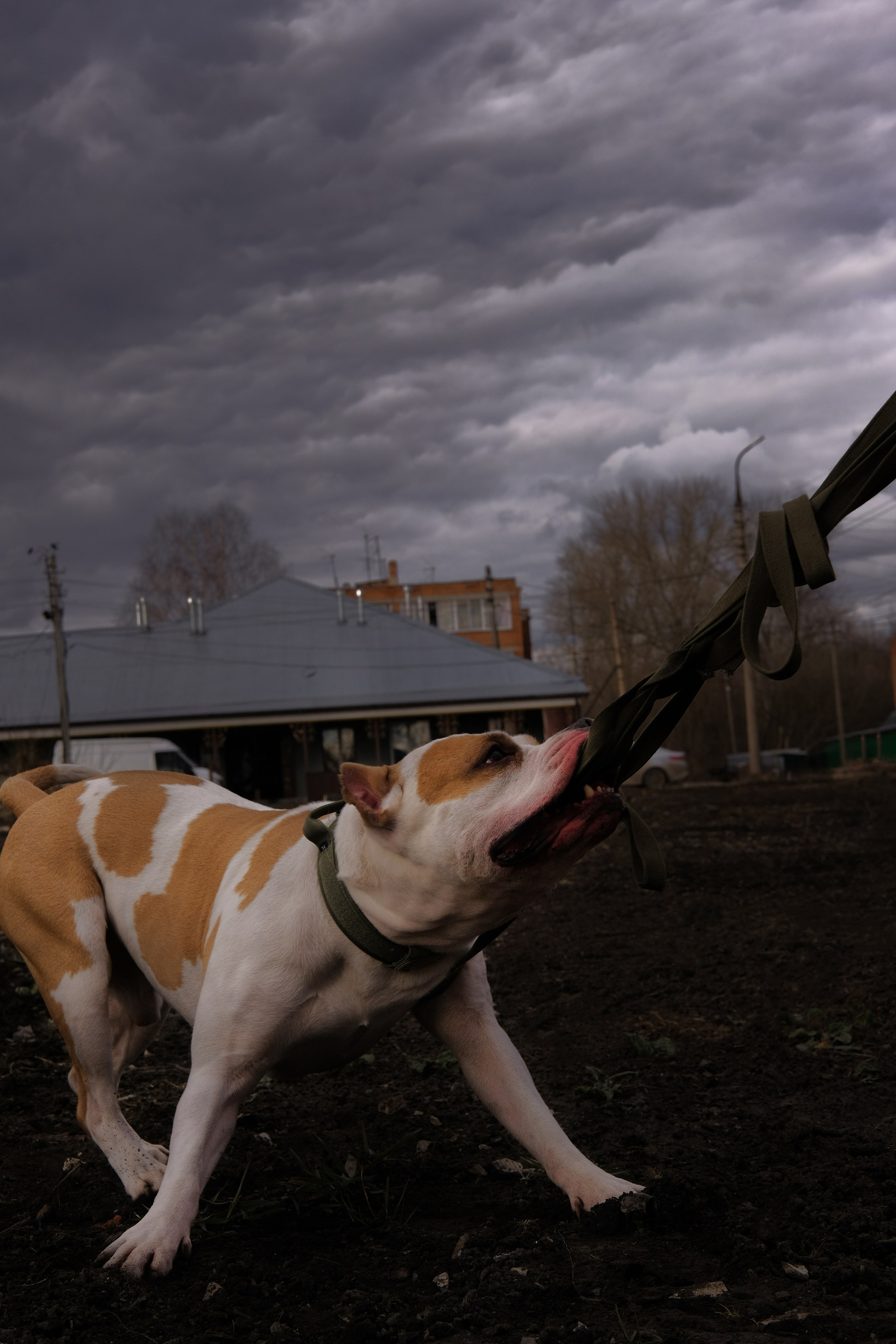 Наталья. Лиза Рязанцева