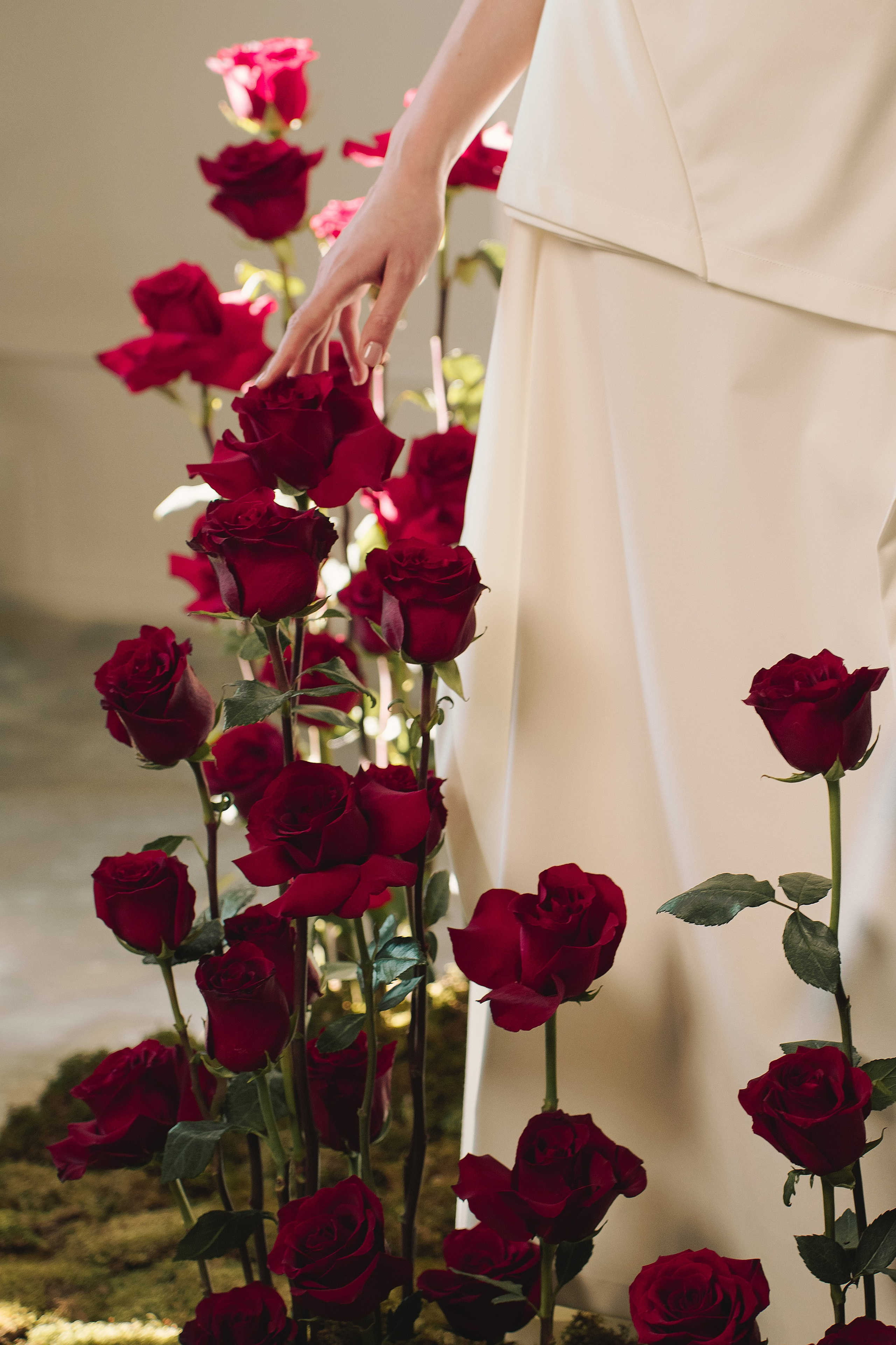 Свадебный и портретный фотограф на юге Краснодарского края и Санкт-Петербурга