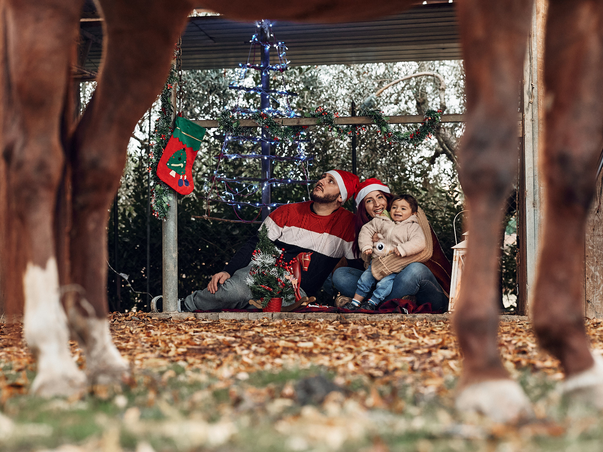 Natale in scuderia. Fotografo di famiglie e ritrattista in Italia (Toscana)