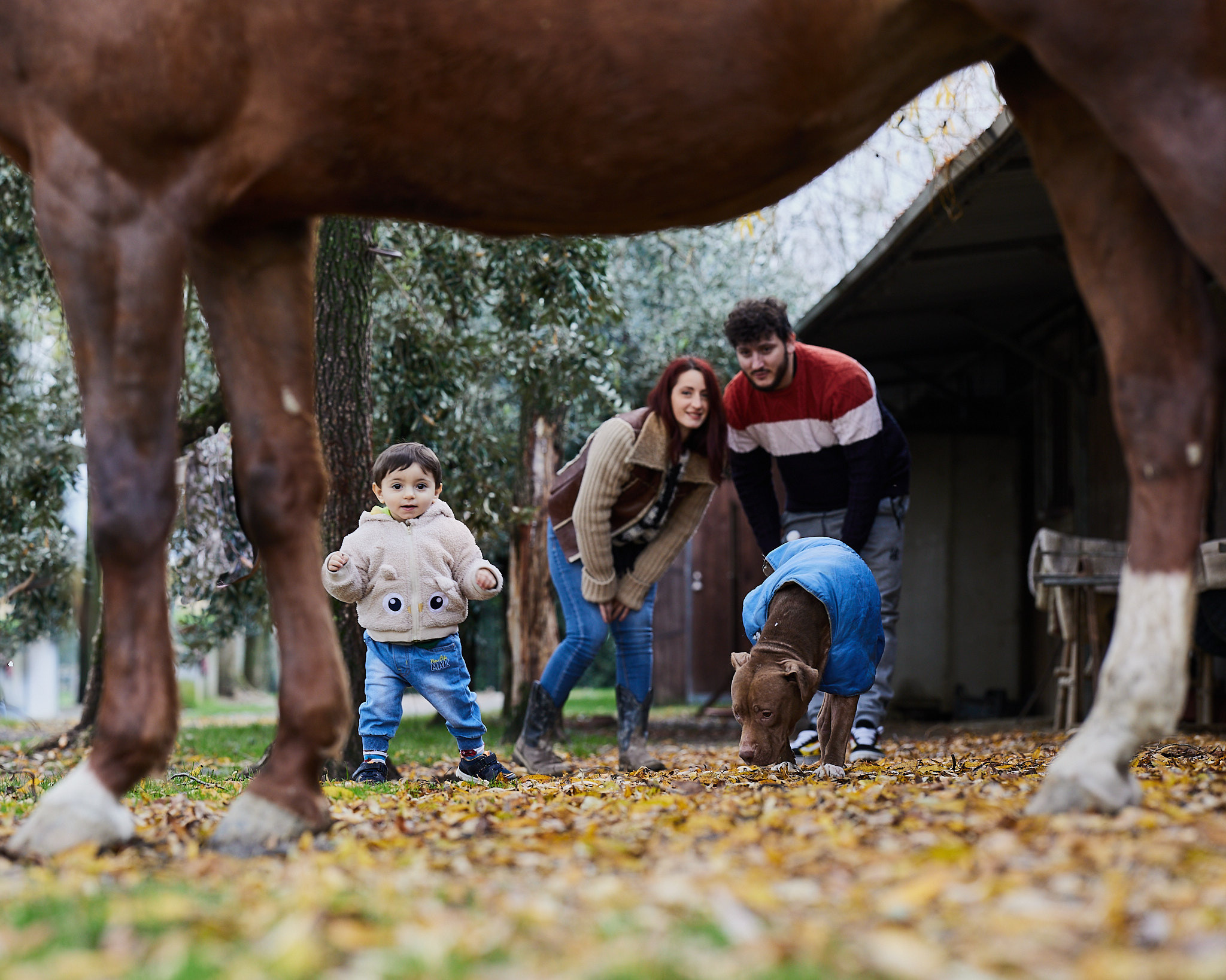 Fotografo di famiglie e ritrattista in Italia (Toscana)