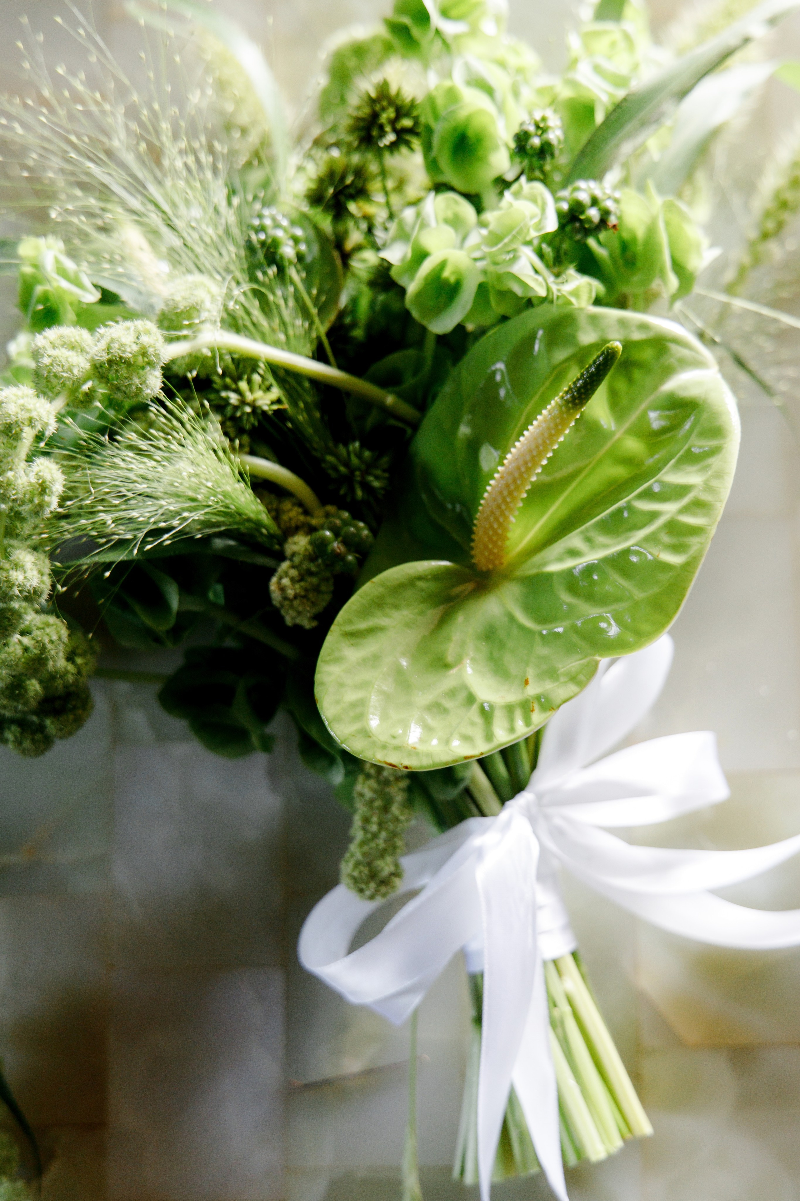 ENZO ALEXANDRA | ЧЕРНОГОРИЯ. СВАДЕБНЫЙ ФОТОГРАФ АТЫРАУ|АЛМАТЫ|АСТАНА