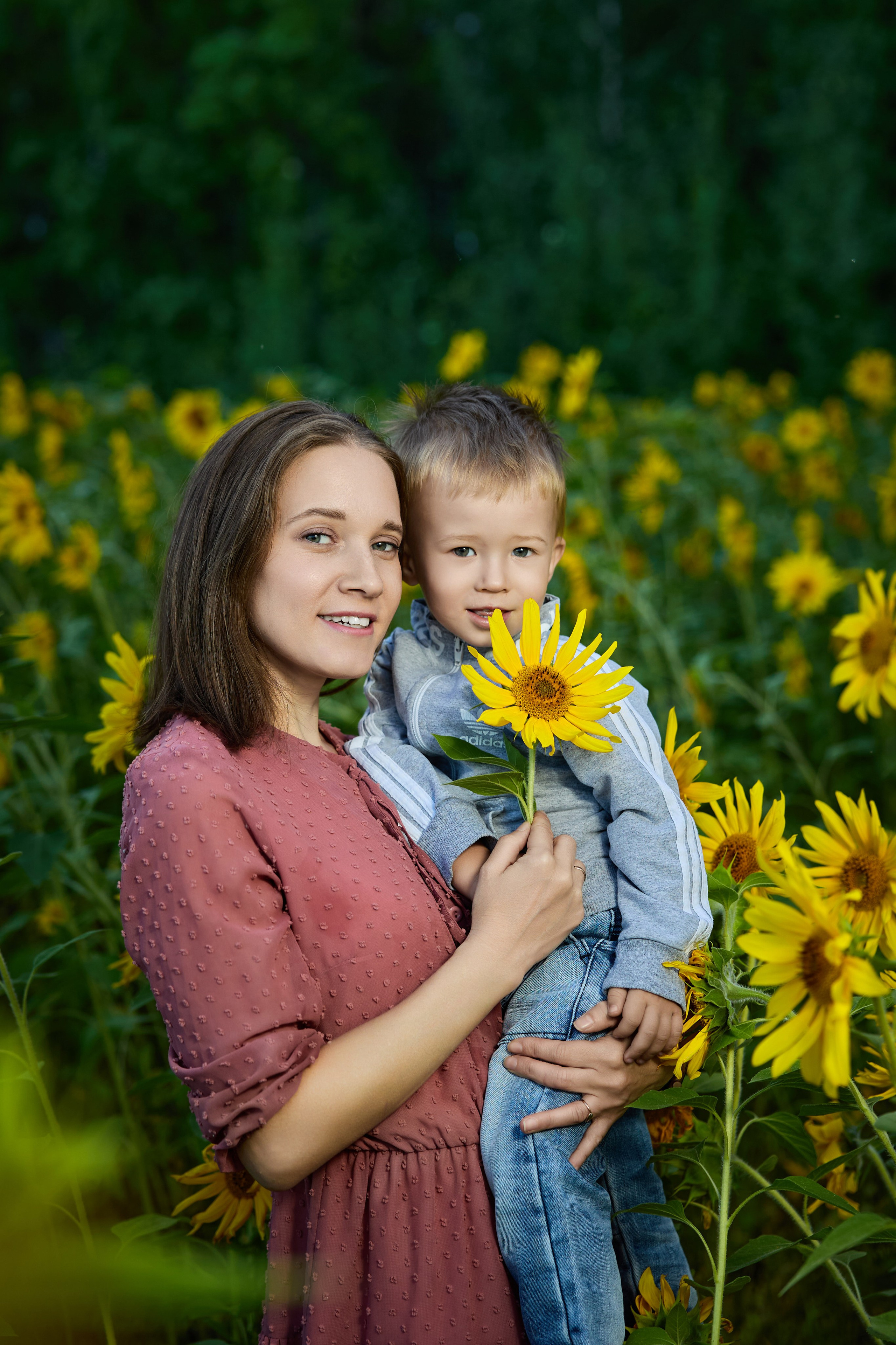 Подсолнухи. Разножанровый Фотограф в Омске Артём Руднев