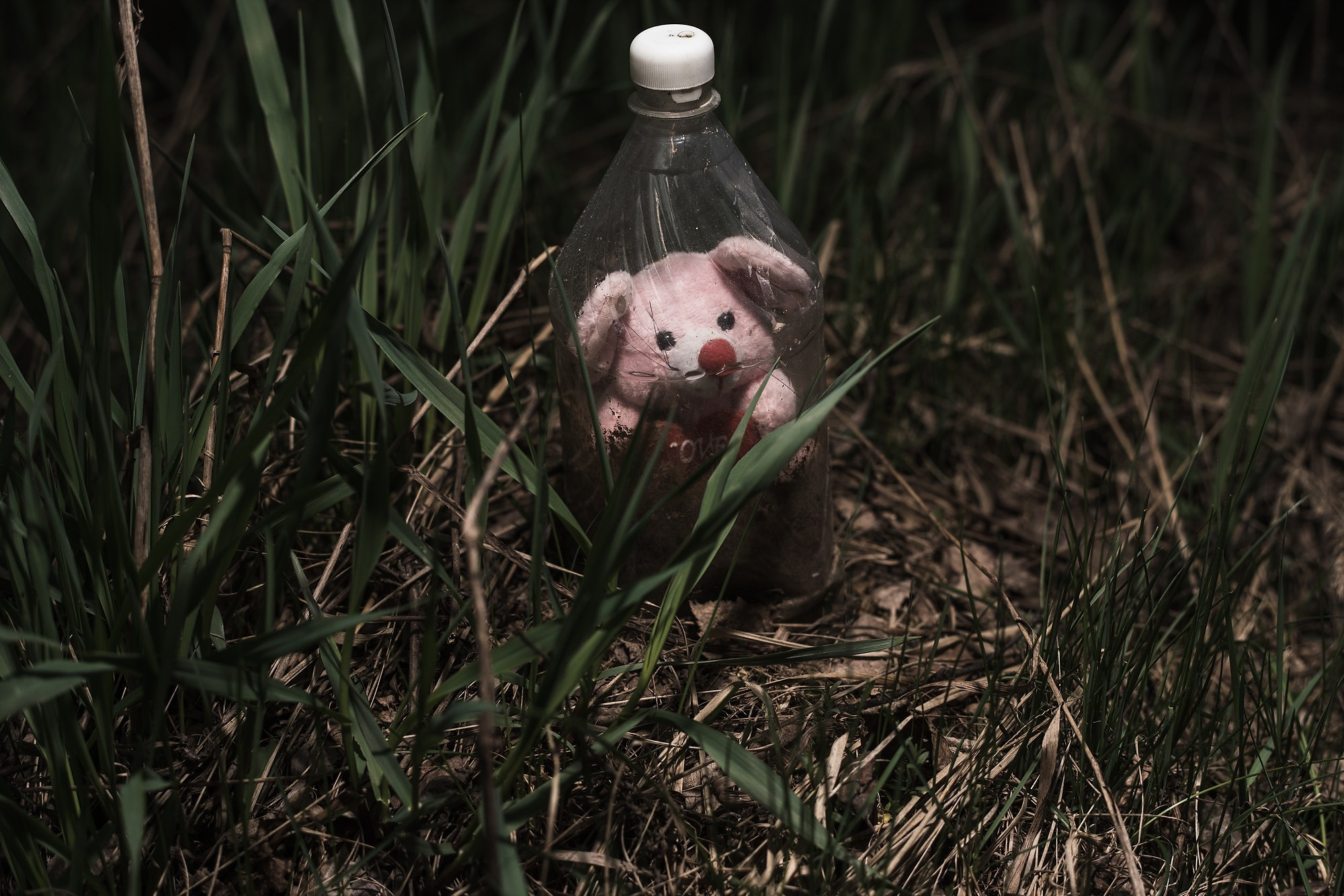 Кладбище домашних животных. Промышленная и репортажная фотография