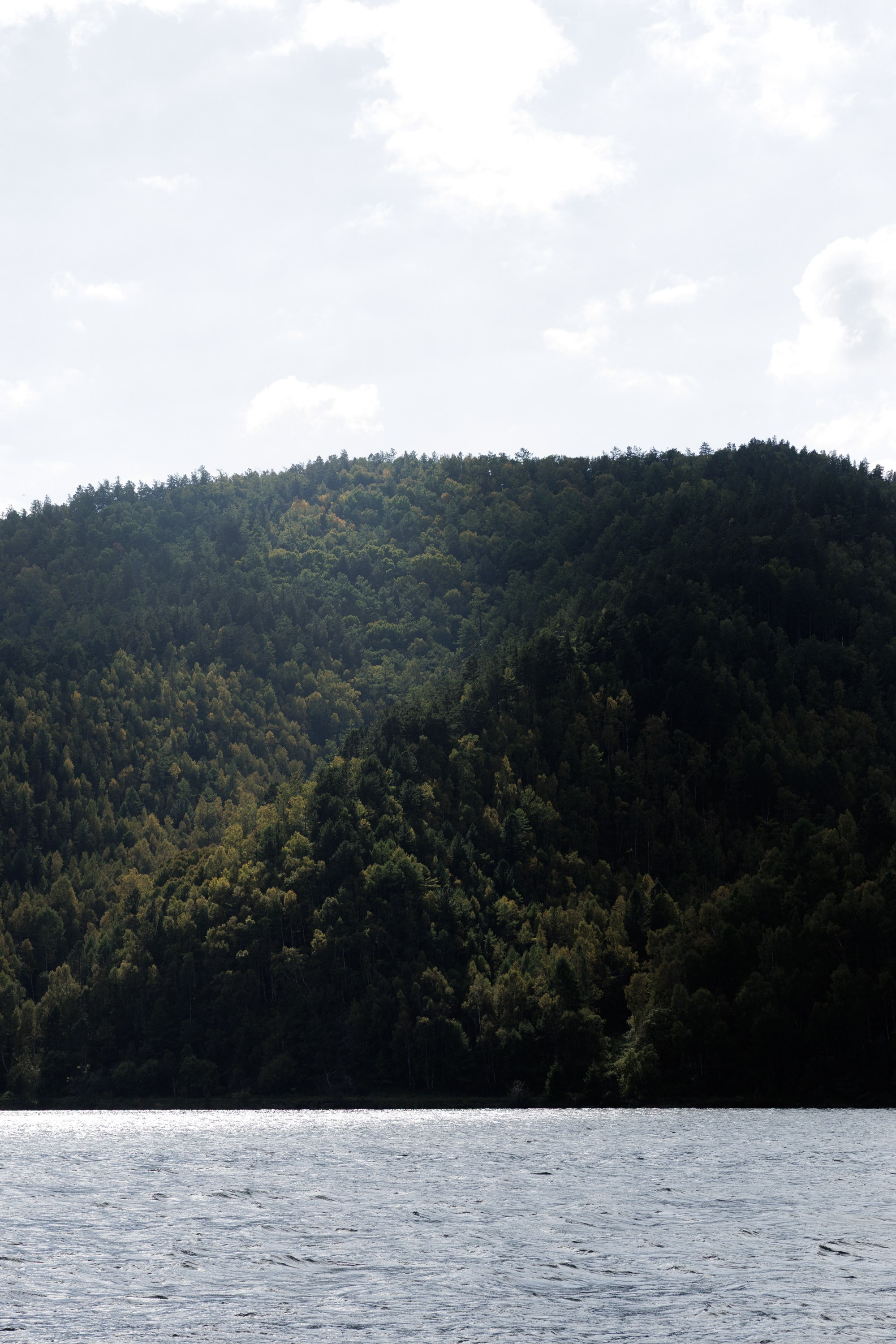 Свадьбы. Свадебный фотограф