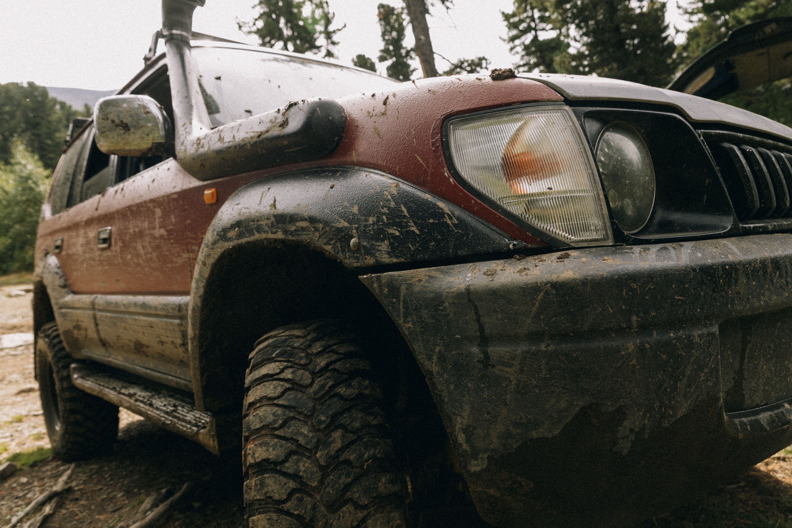 Алтай, природа и эстетика. Александр Чернин. Семейный и событийный фотограф