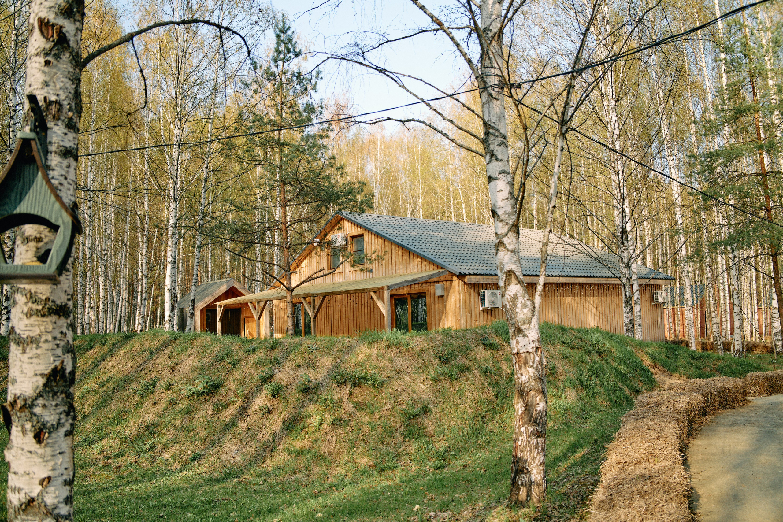 Бутик-отель Поле летом. Профессиональный Фотограф во Владимире, в Москве и в Суздале — Полина Романычева