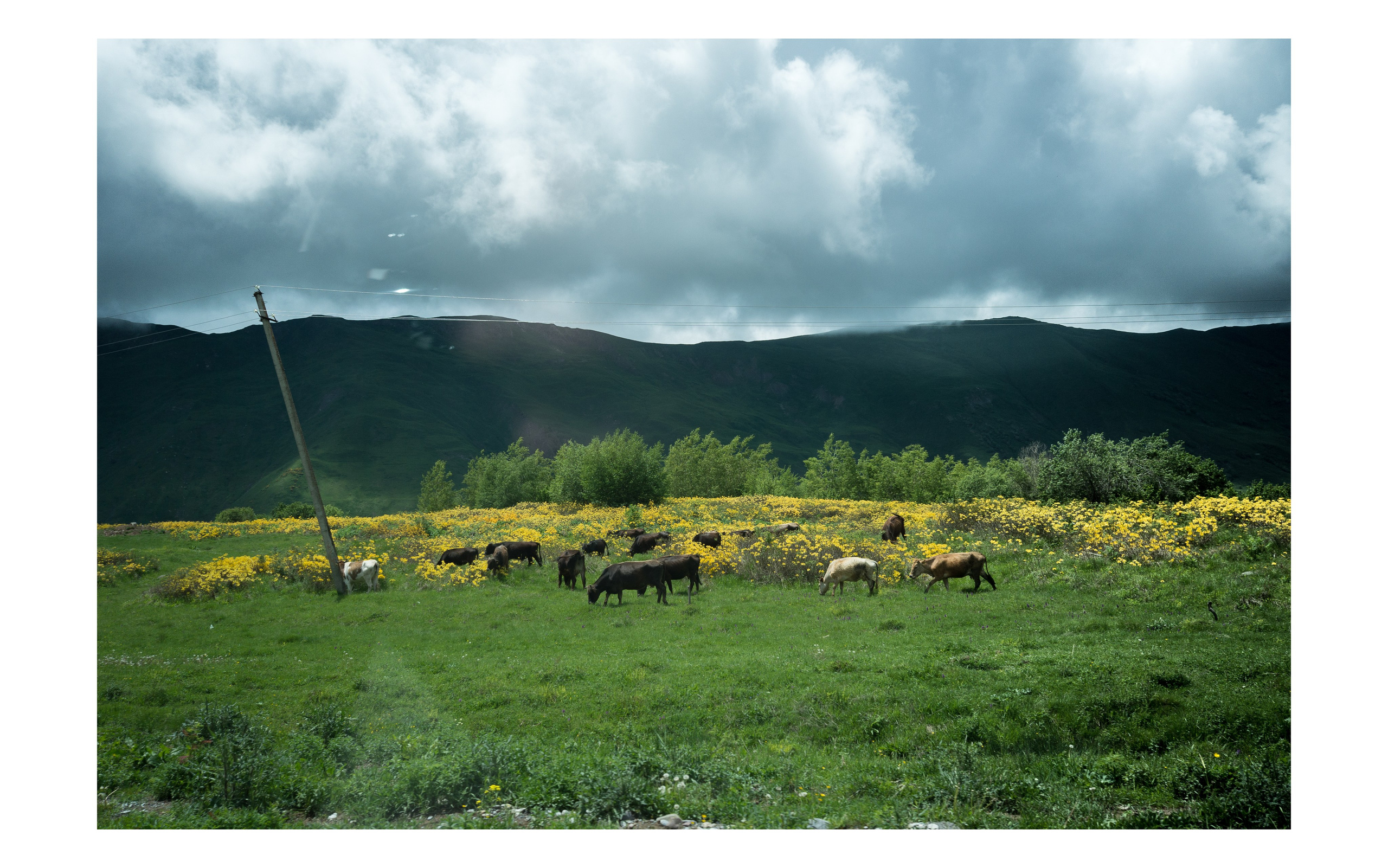 Фотографии из Грузии для интерьеров. Фотографии Руслана Сайдалиева (Рус Сай)