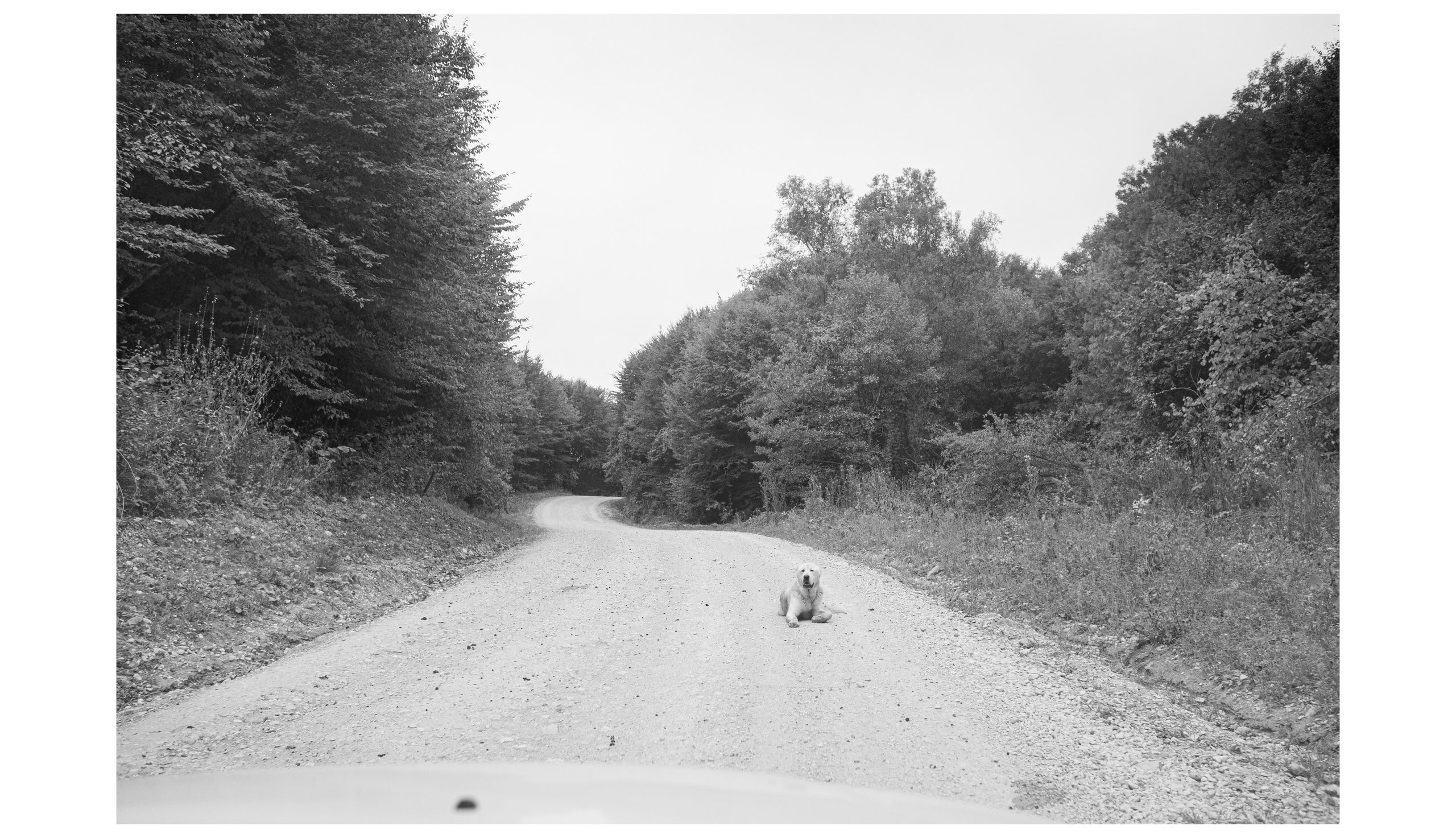 Интерьерные фотографии России. Фотографии Руслана Сайдалиева (Рус Сай)