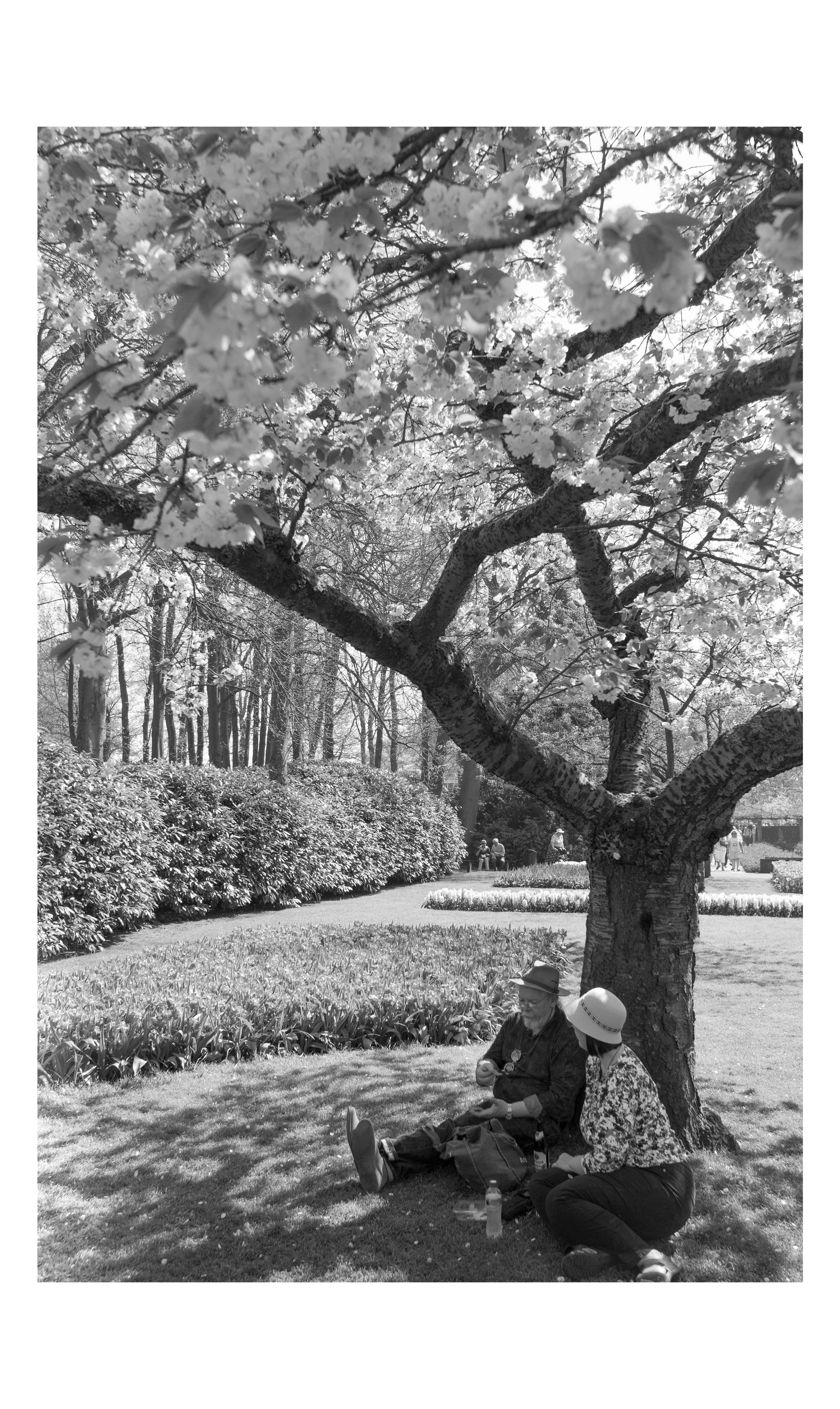 Фотографии из Европейских городов для интерьеров. Фотографии Руслана Сайдалиева (Рус Сай)