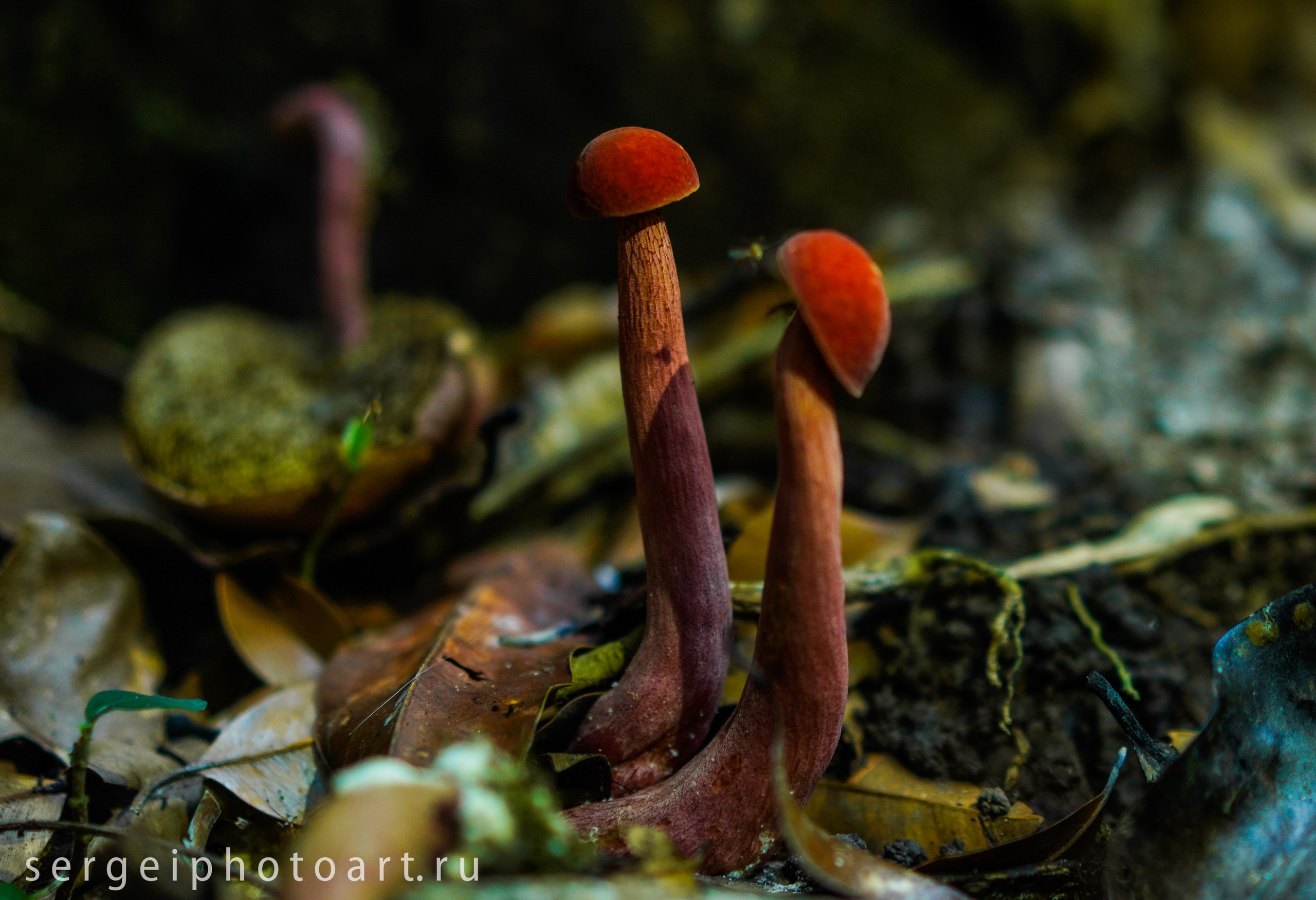 Остров Фукуок, Вьетнам. Фотограф Сергей Кишкель Дананг Нячанг Фукуок